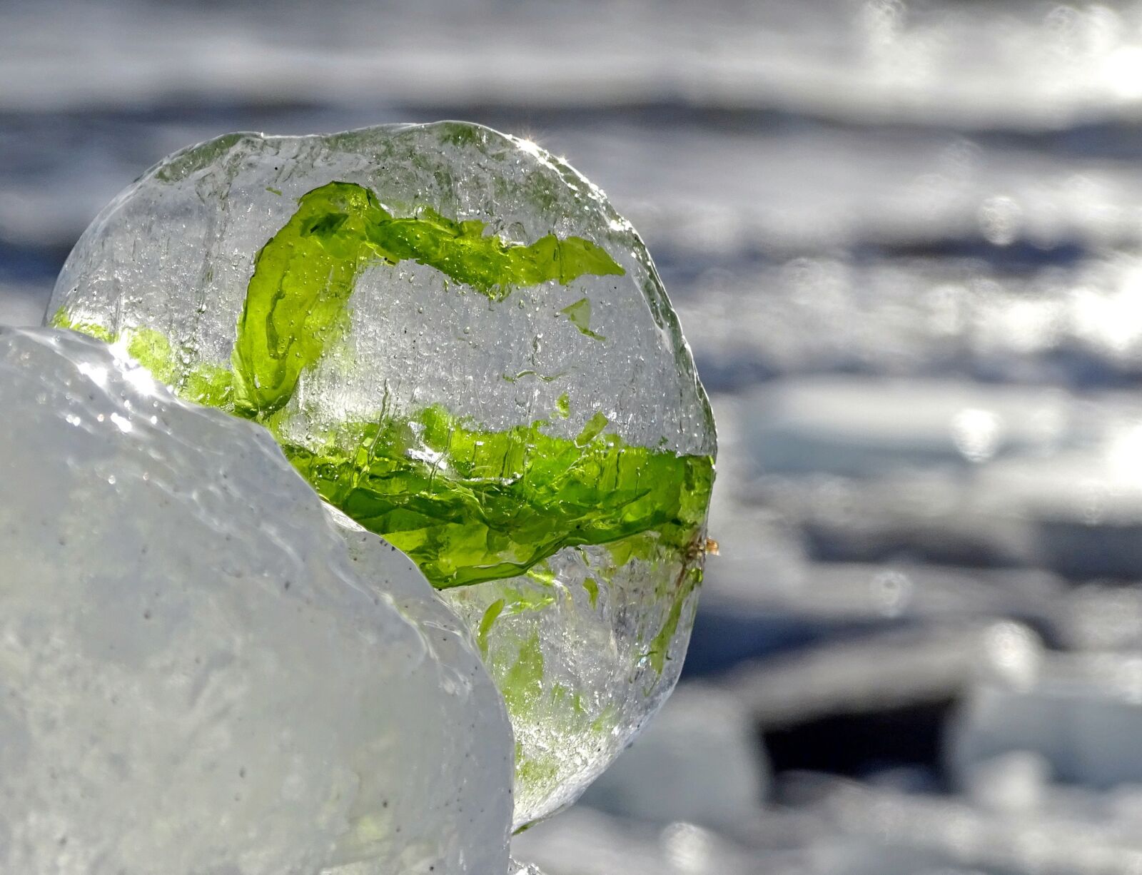 Sony DSC-HX400 sample photo. Sea, ice, weed photography