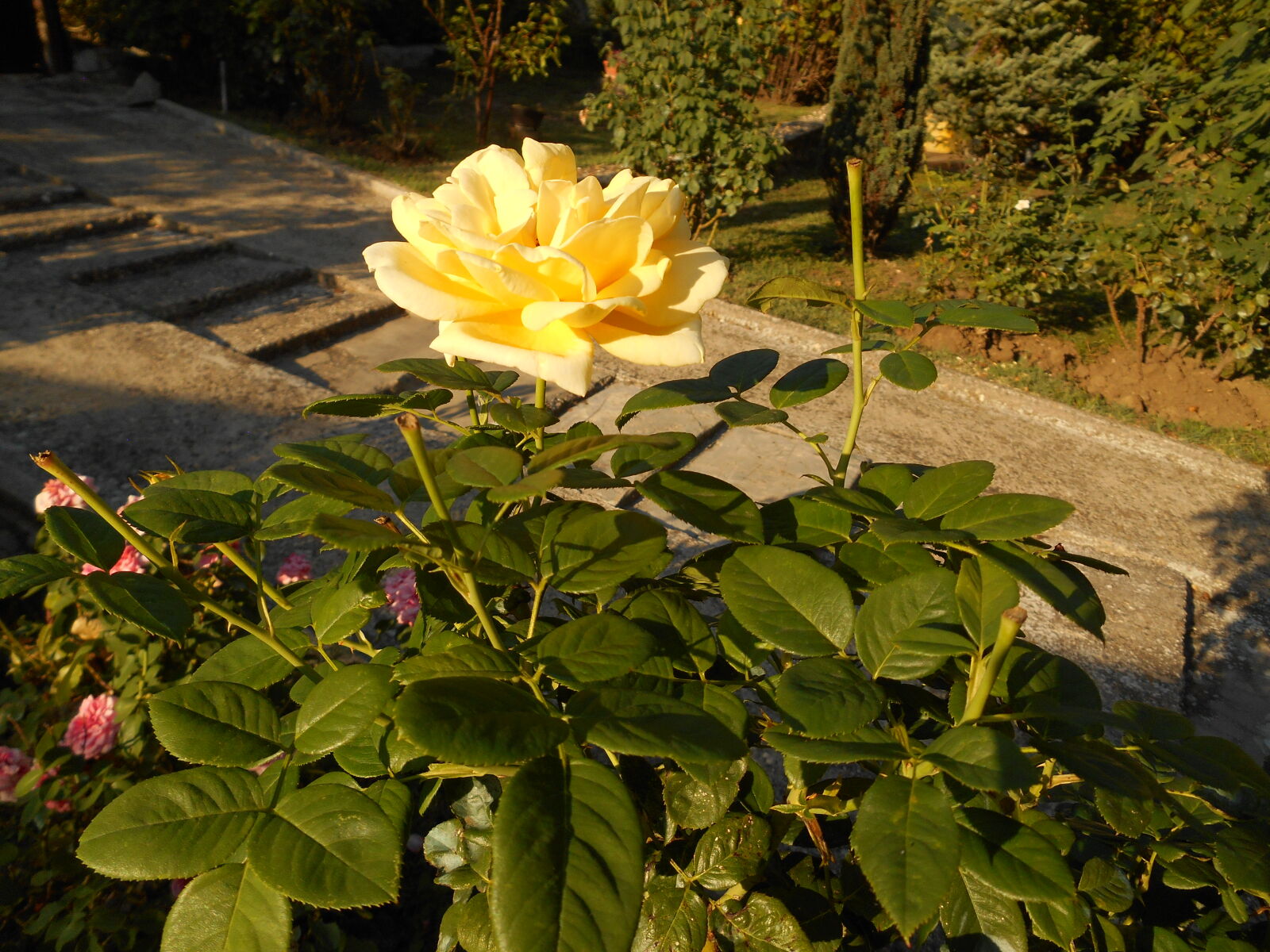 Nikon Coolpix S3500 sample photo