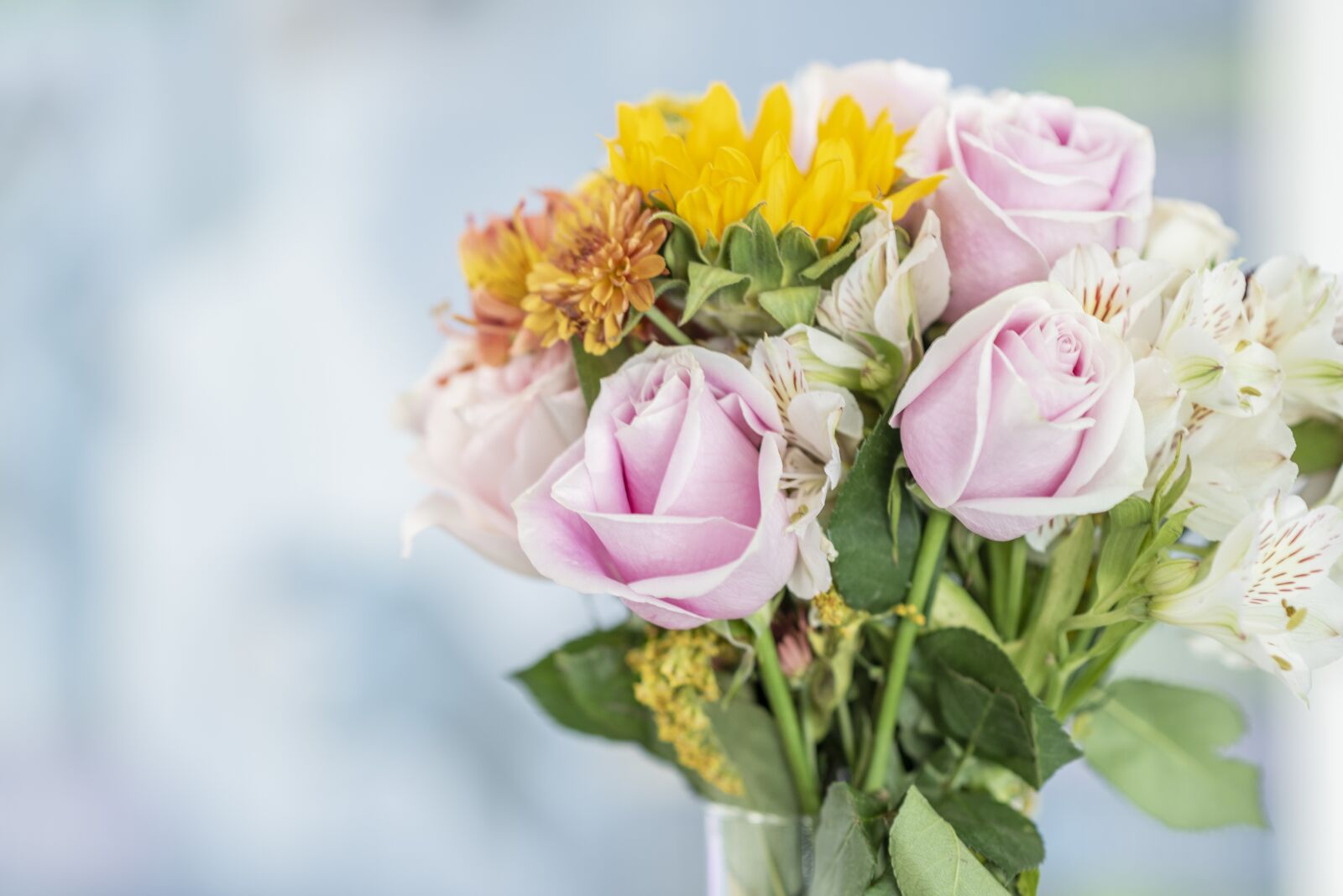Nikon D600 sample photo. Flowers, floral, botany photography