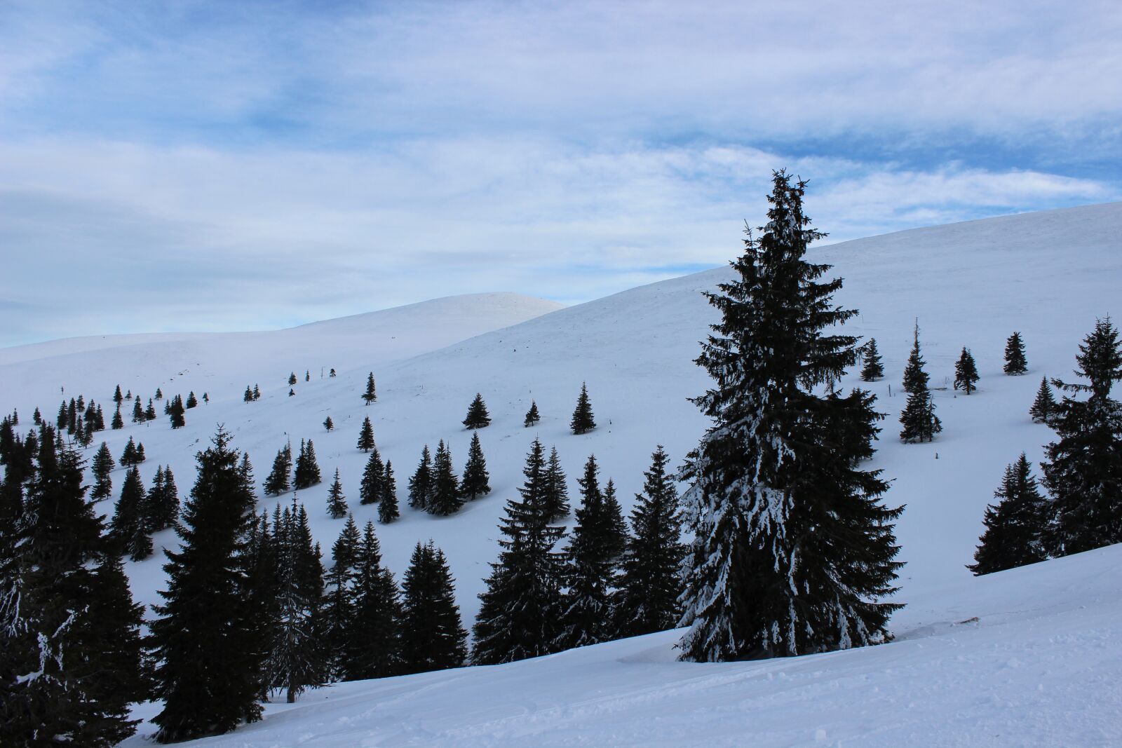 Canon EOS 600D (Rebel EOS T3i / EOS Kiss X5) sample photo. Winter, sky, snow photography