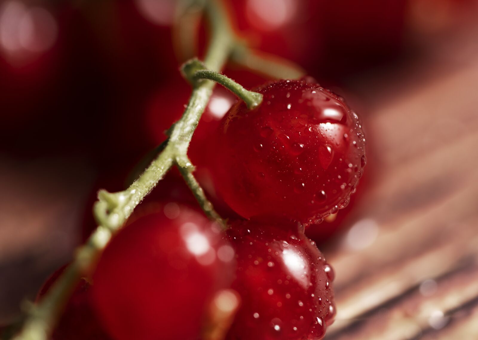 Sony a7R IV sample photo. Red currant, red, currant photography