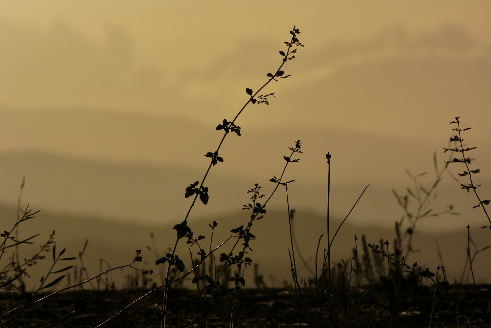 Panasonic Lumix DMC-FZ150 sample photo. Tuscany, landscape, silhouette photography