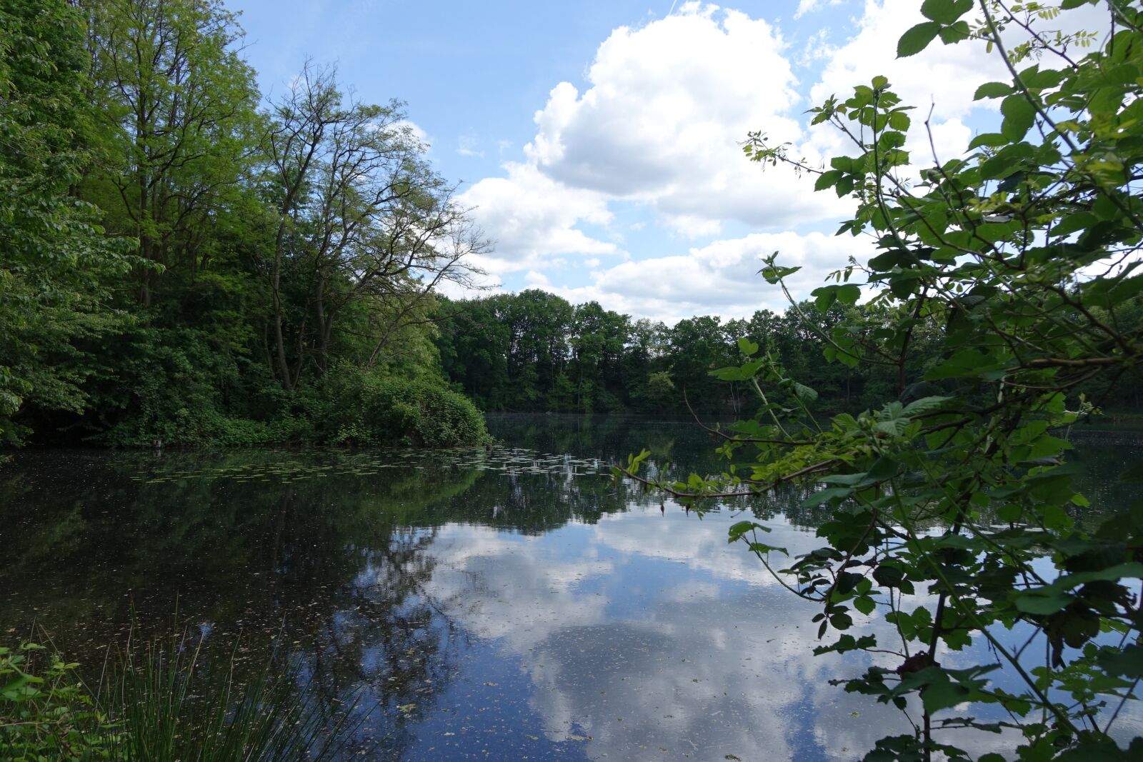 Sony Cyber-shot DSC-RX10 sample photo. Dietesheim quarries, m hlheim photography