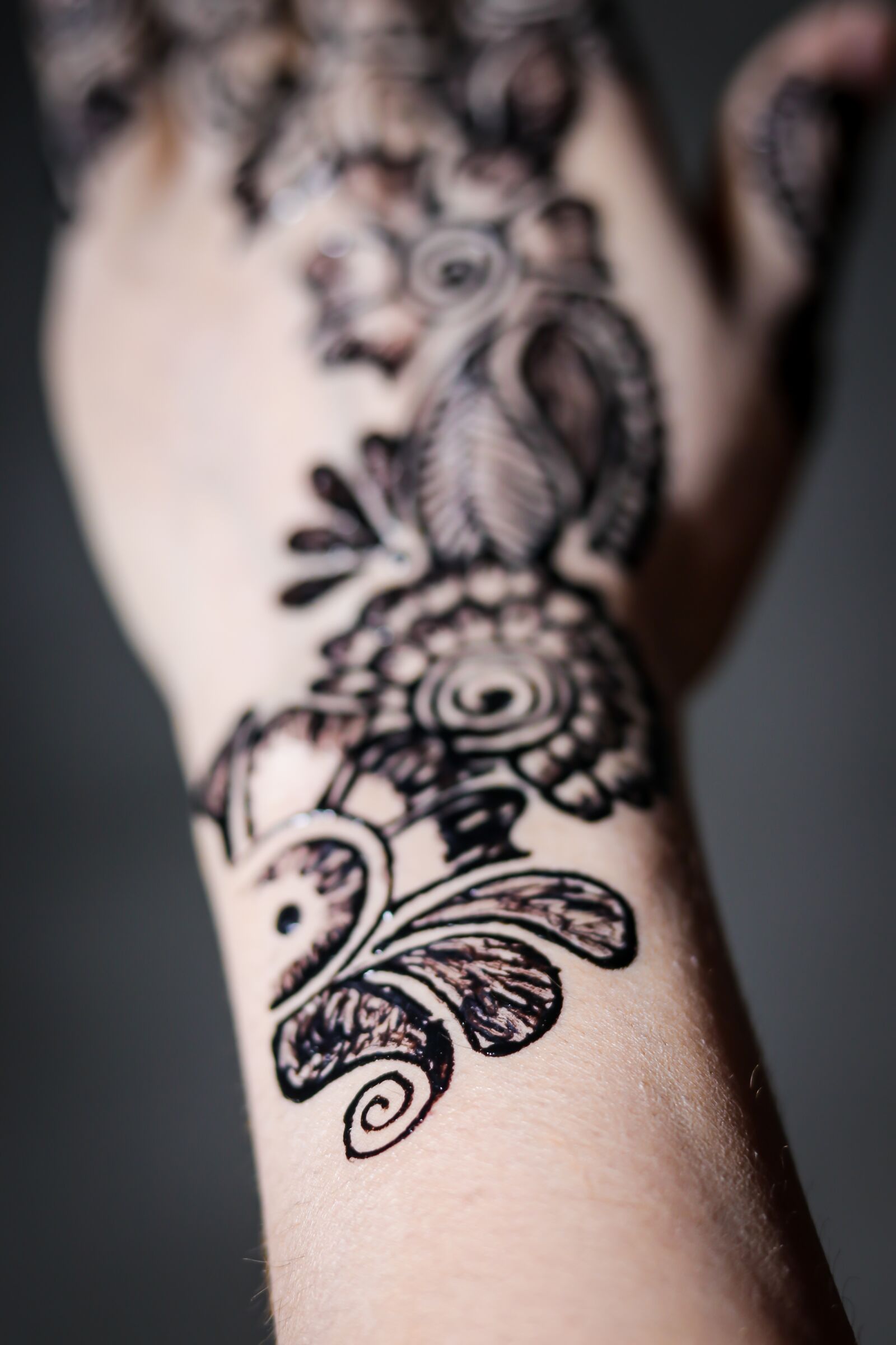 Canon EOS 80D sample photo. Mehndi, design, mehendi photography