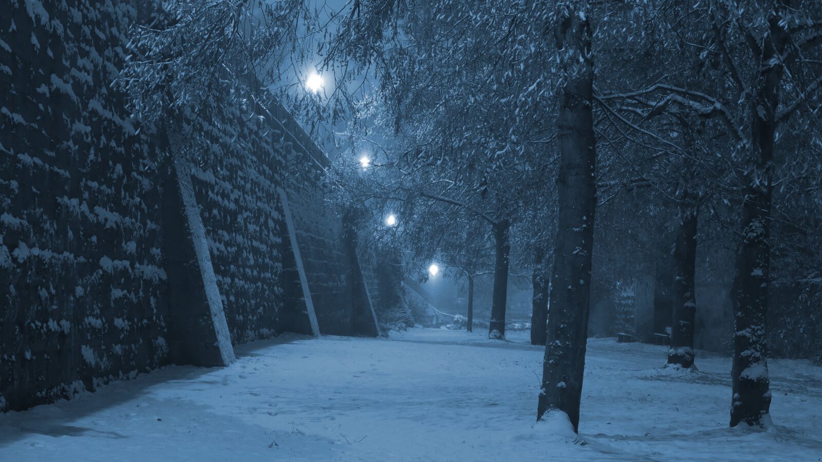 Panasonic Lumix DMC-FZ1000 sample photo. Moat, snow, winter photography