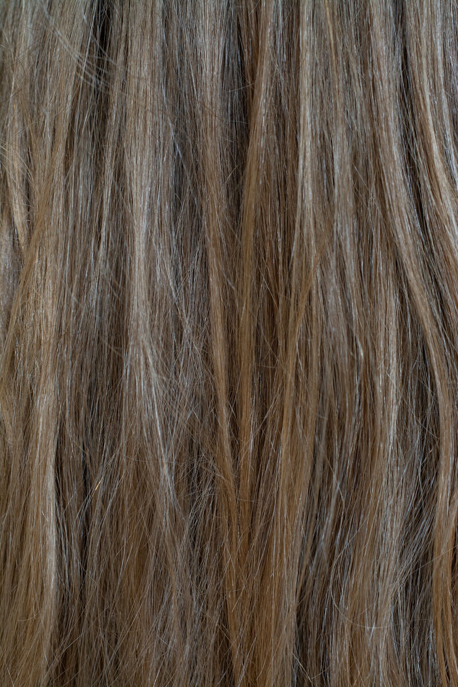 Nikon D7100 sample photo. Hair, human hair, blond photography