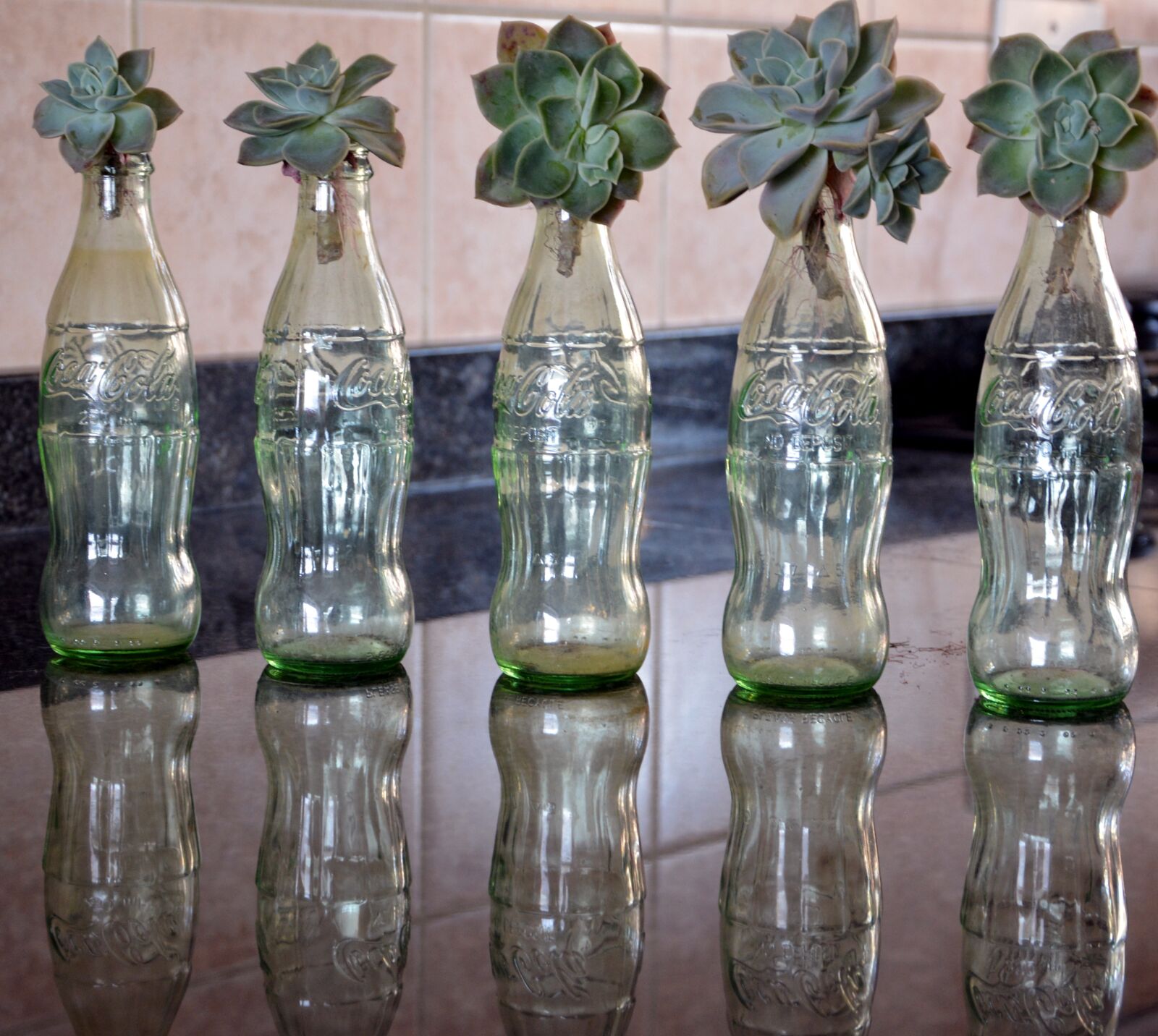 Nikon D5200 sample photo. Bottles, decoration, glass jar photography