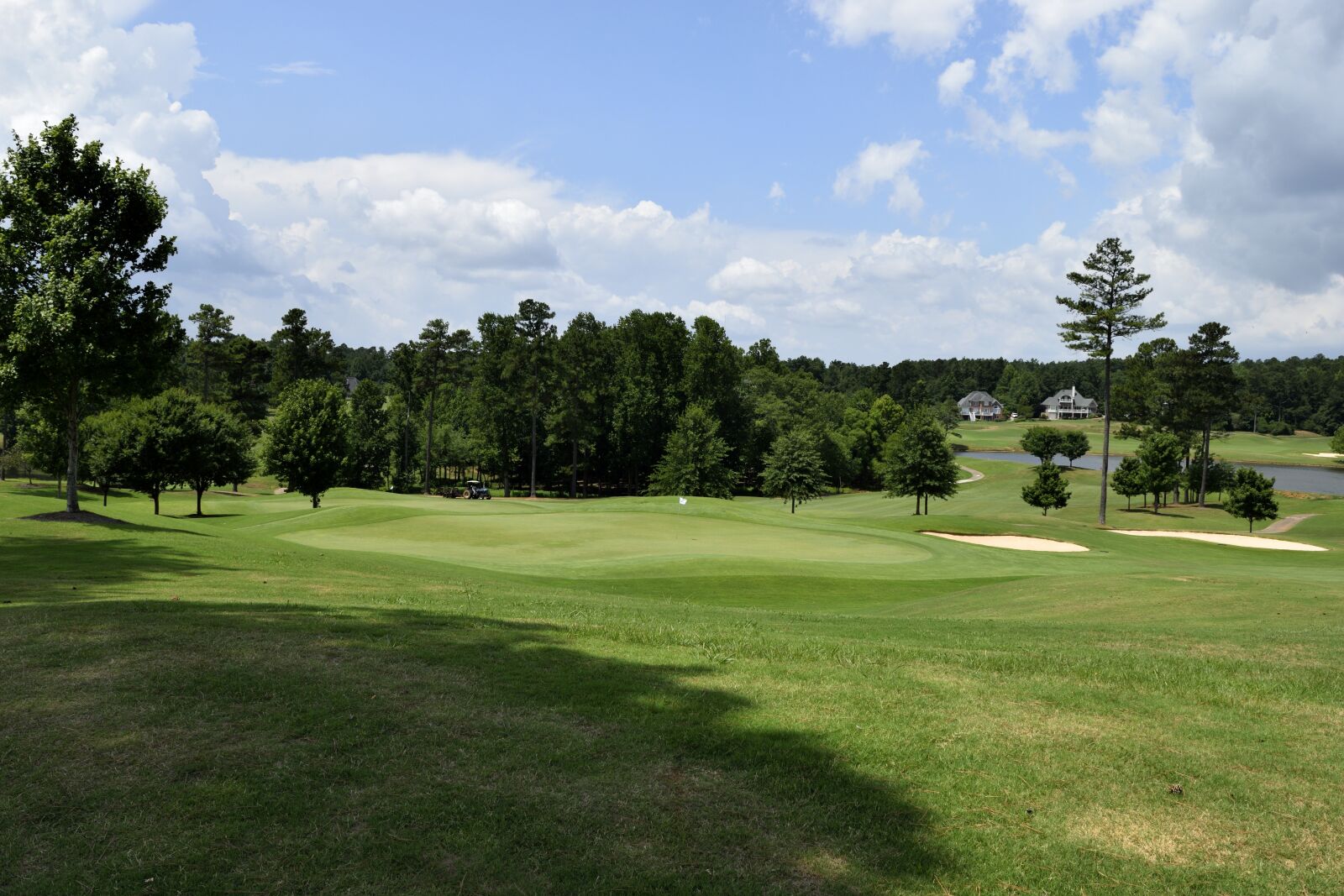 Nikon D3300 sample photo. Golf, grass, course photography