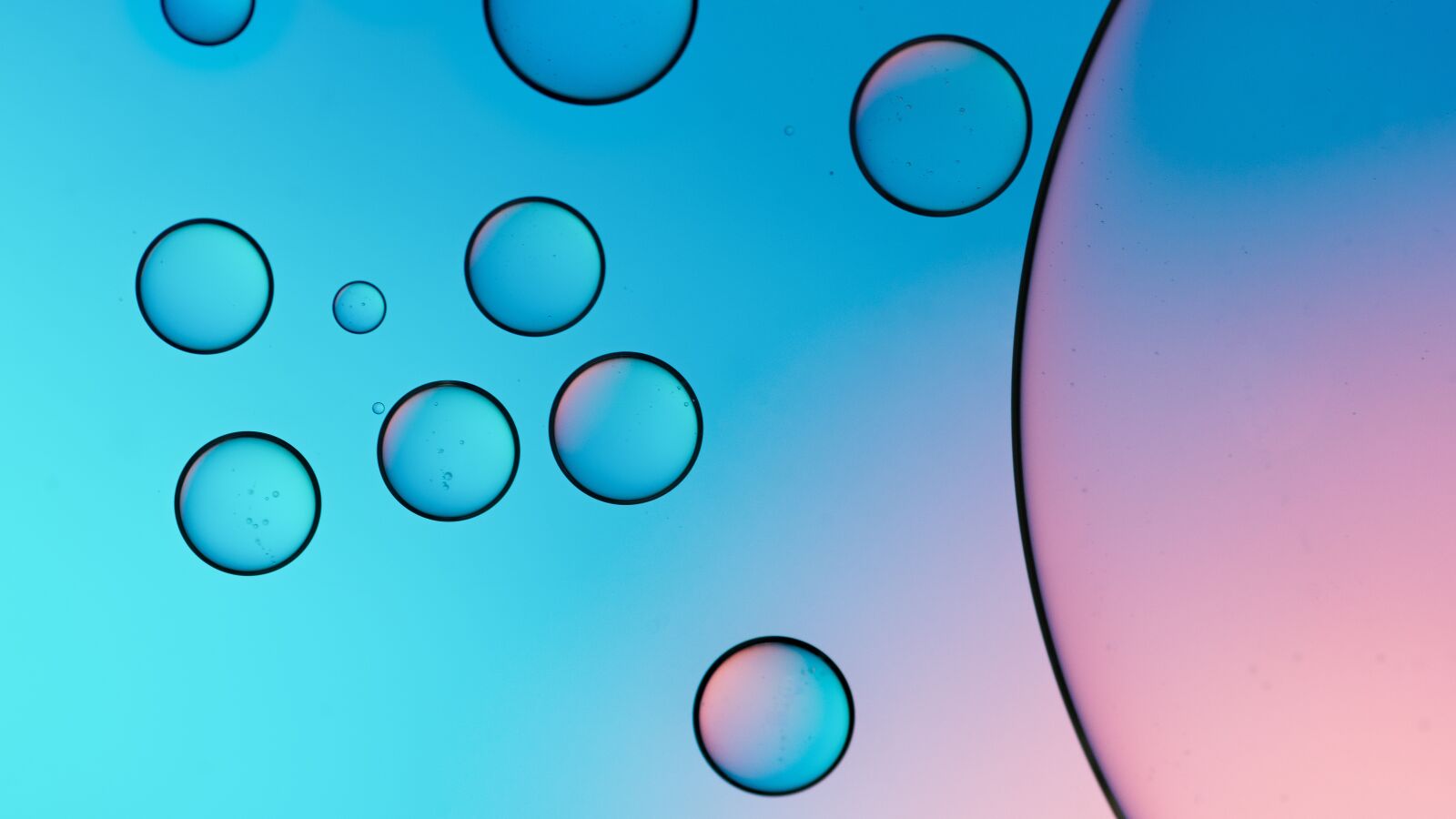 Sony a7 sample photo. Oil, water, macro photography
