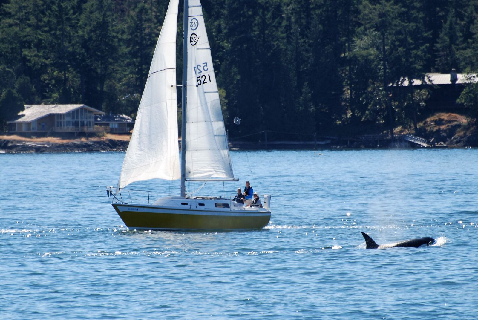 Nikon D80 sample photo. Sailing boat, encounter, nature photography