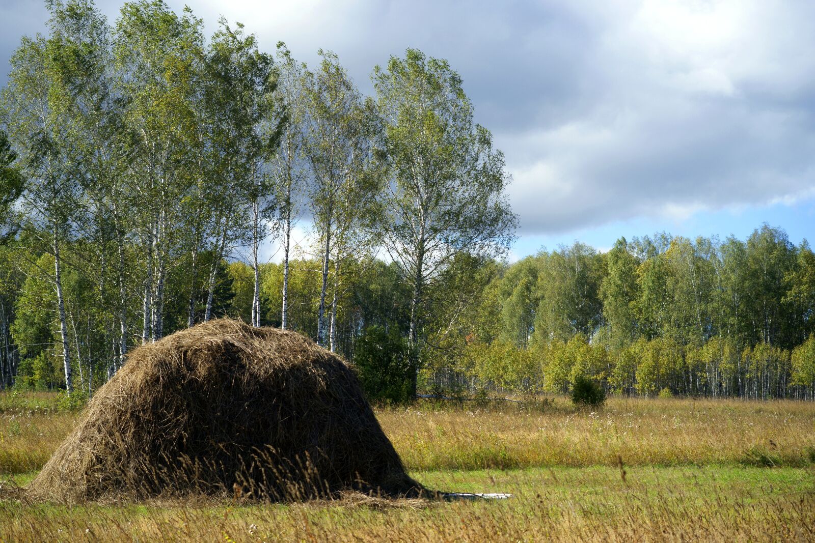 Sony Alpha DSLR-A850 sample photo. Landscape, summer, day photography