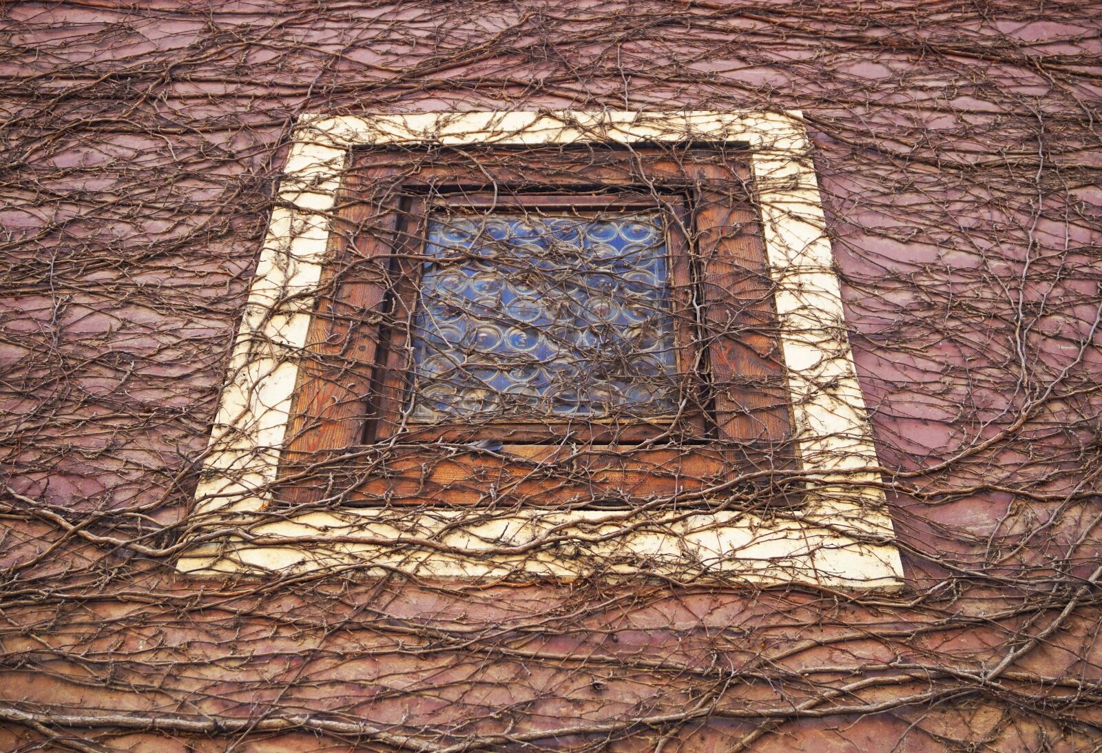 Sony Alpha a5000 (ILCE 5000) sample photo. Window, prague, czechia photography