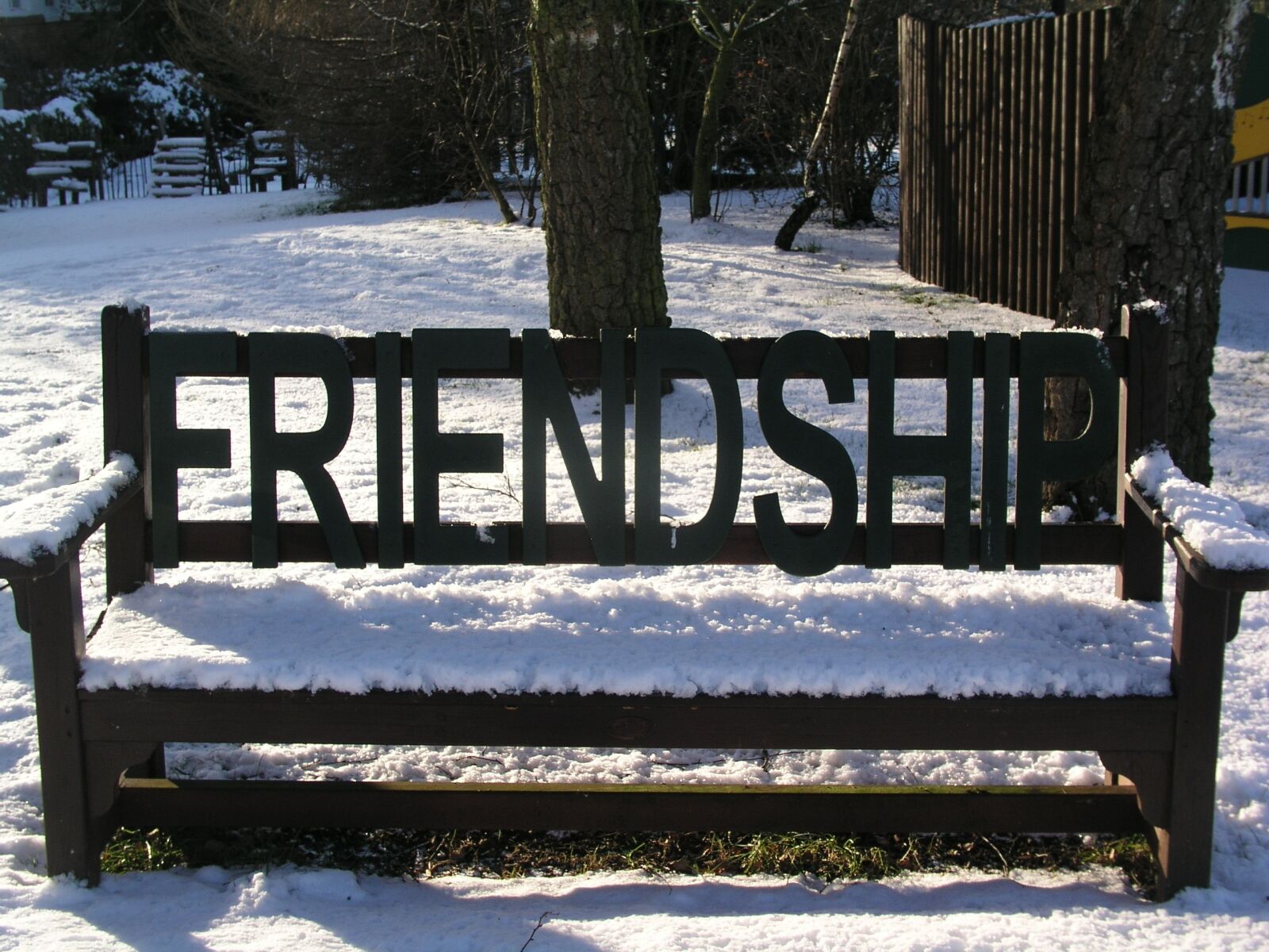 Olympus C5050Z sample photo. Bench, freindship, snow photography