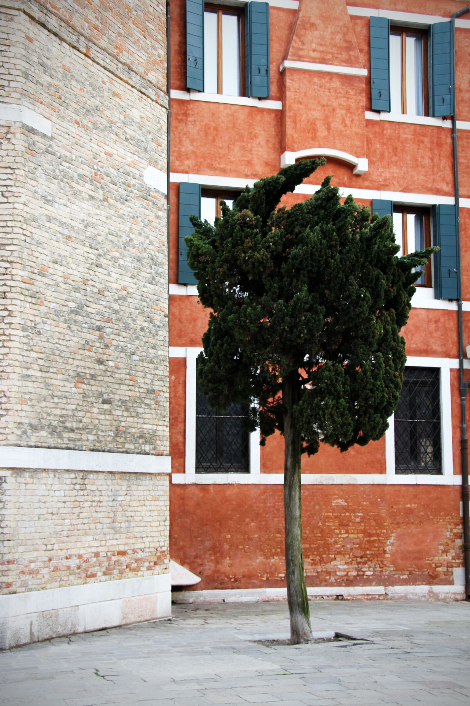 Canon EOS 60D sample photo. Tree, green, house facade photography