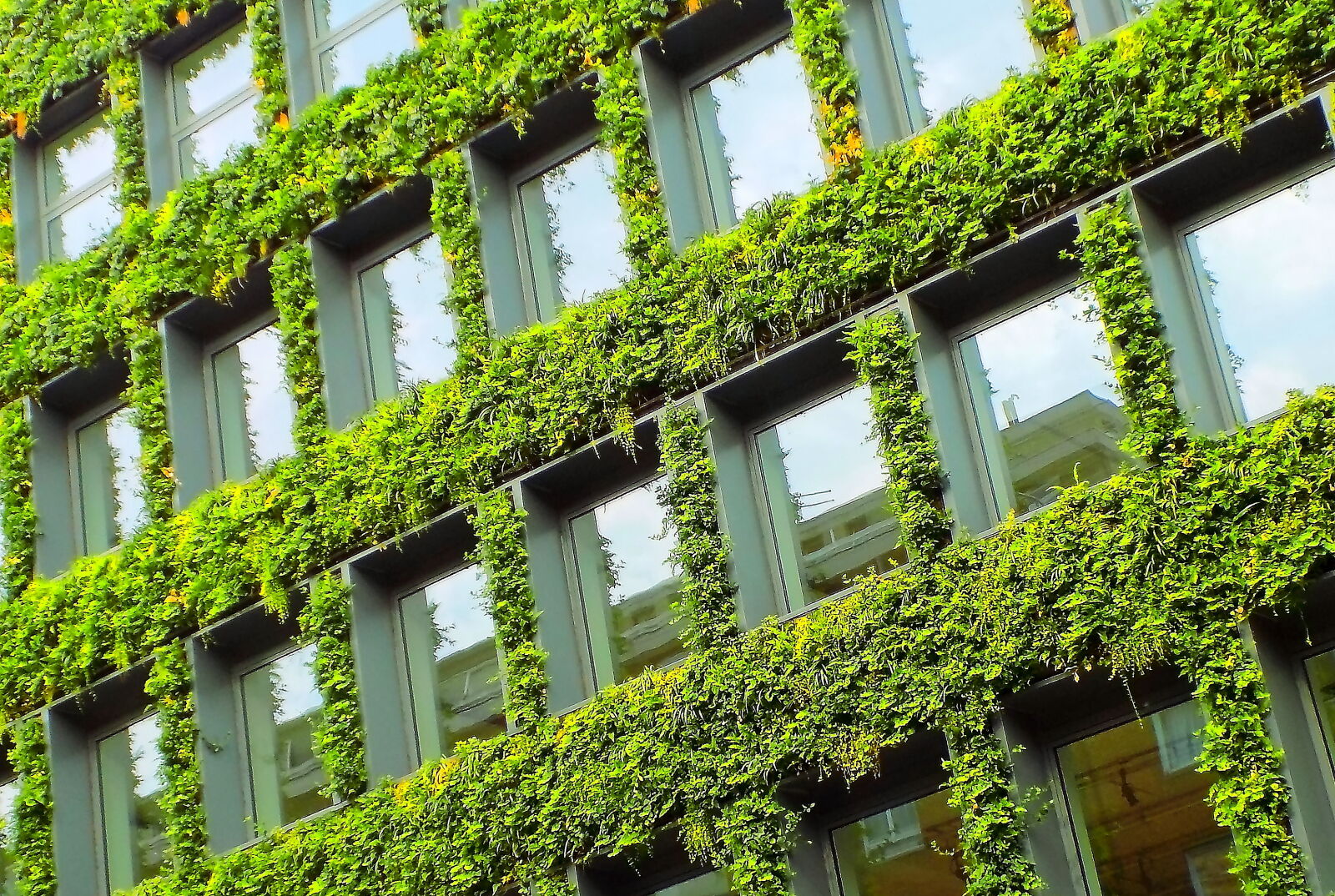 Nikon COOLPIX L340 sample photo. Building, leafy, building, leaves photography