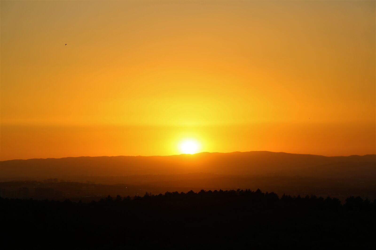 Canon EF 24-105mm F4L IS USM sample photo. Sunset, in the evening photography
