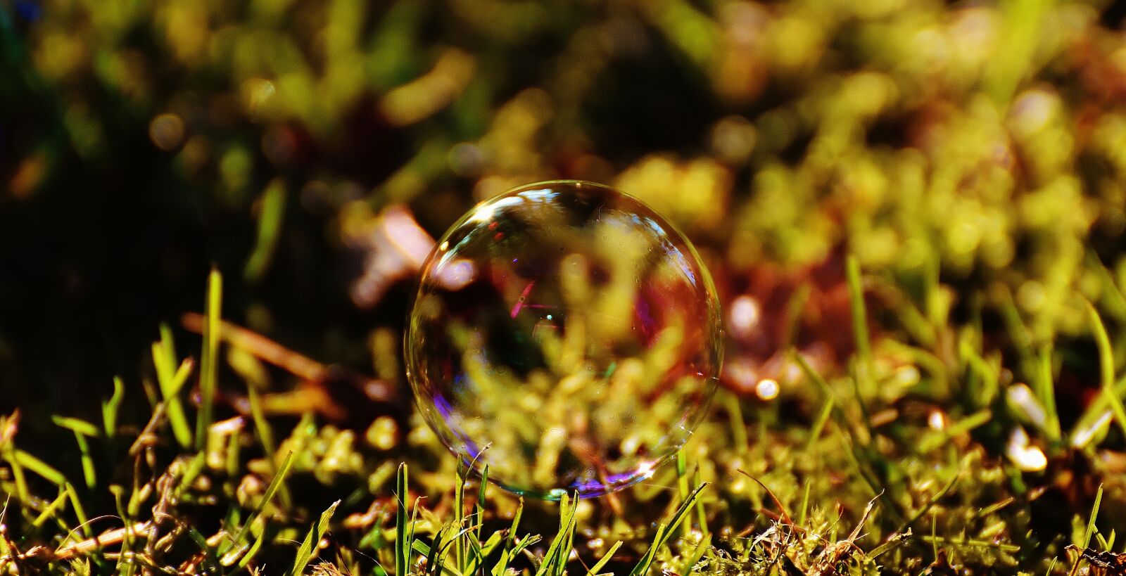 Nikon D7200 sample photo. Soap bubble, colorful, meadow photography