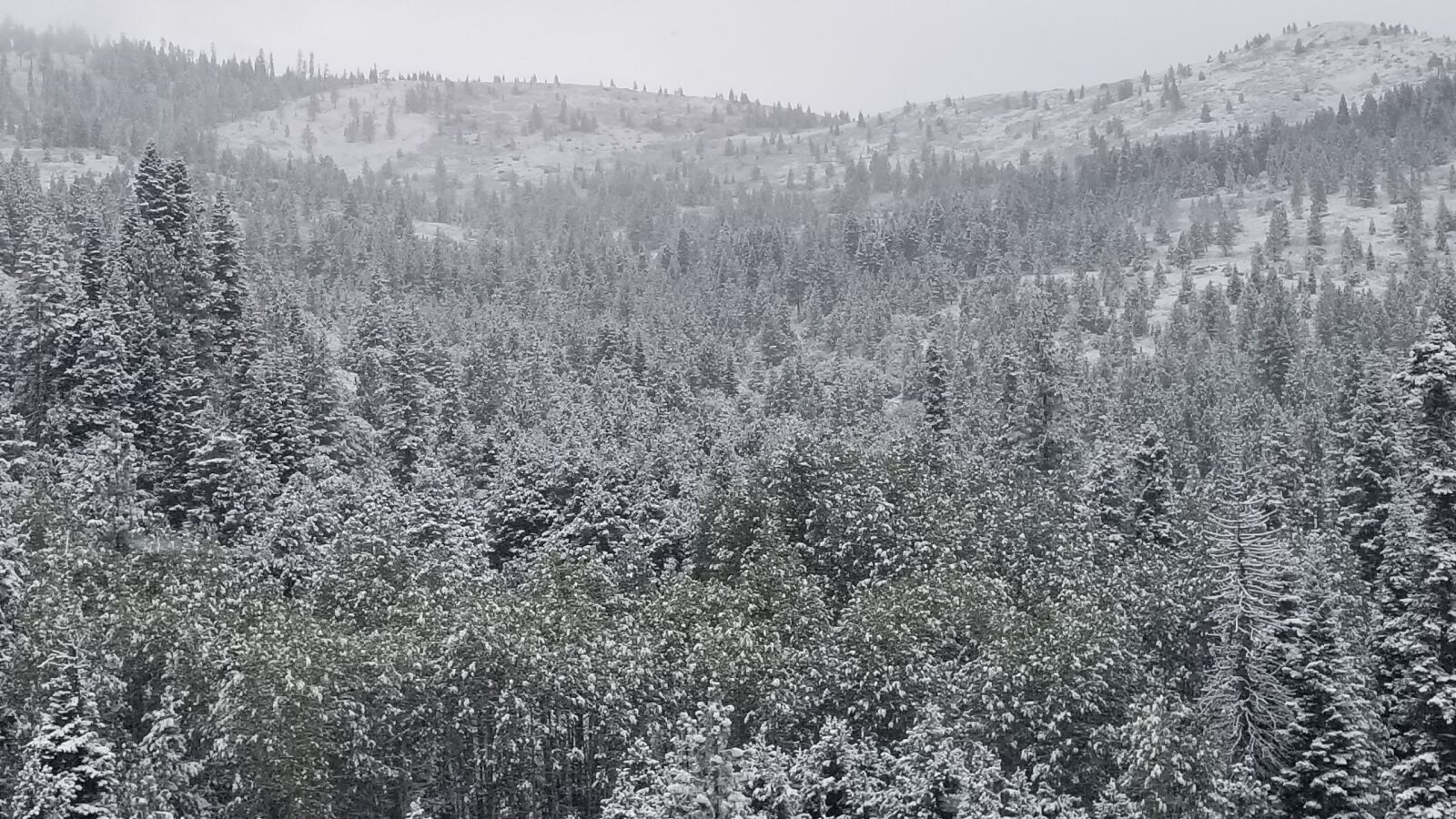 Samsung Galaxy S8 sample photo. Snow, forest, mountains photography