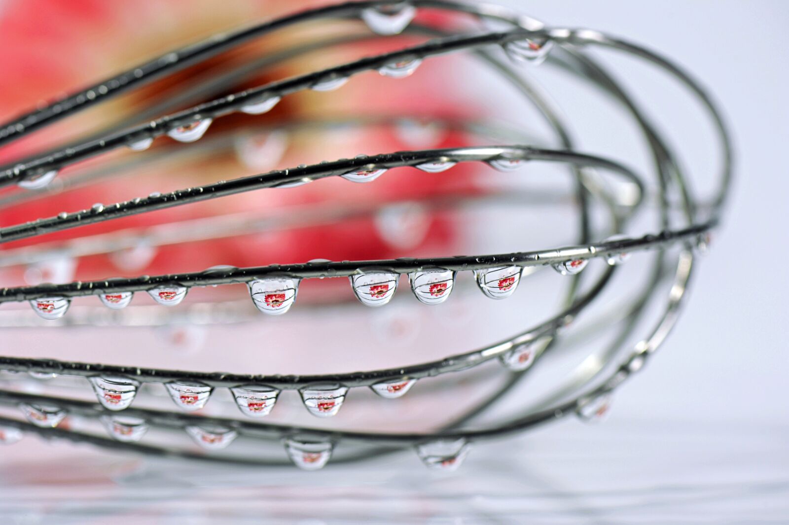 Nikon D3S sample photo. Drip, macro, blossom photography