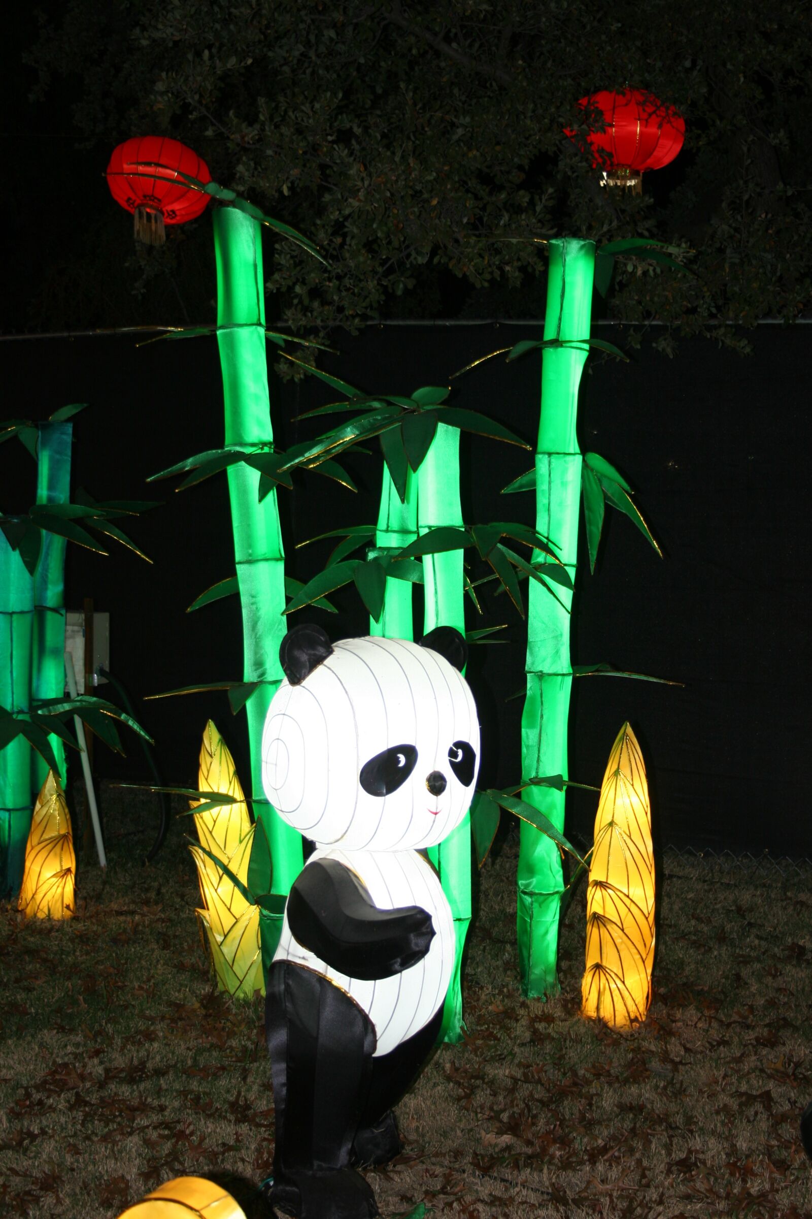 Canon EOS 20D sample photo. Chinese, festival, celebration photography