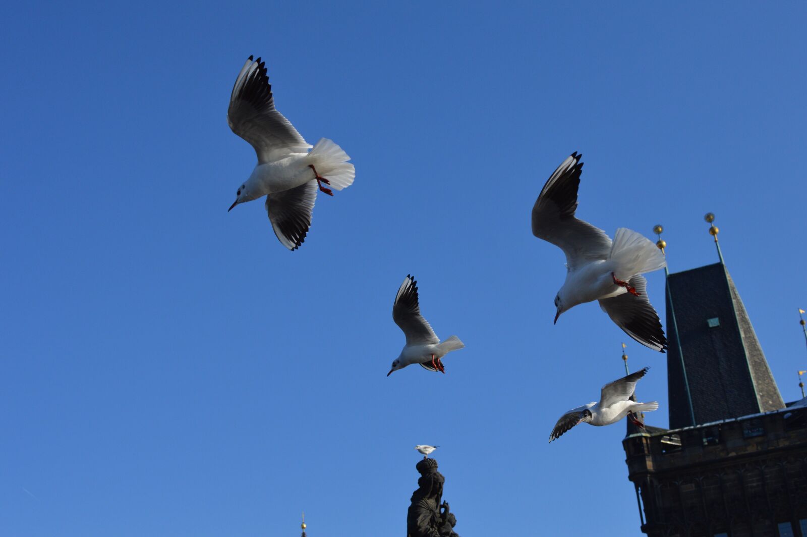 Nikon D3200 sample photo. Prague, czech, europe photography