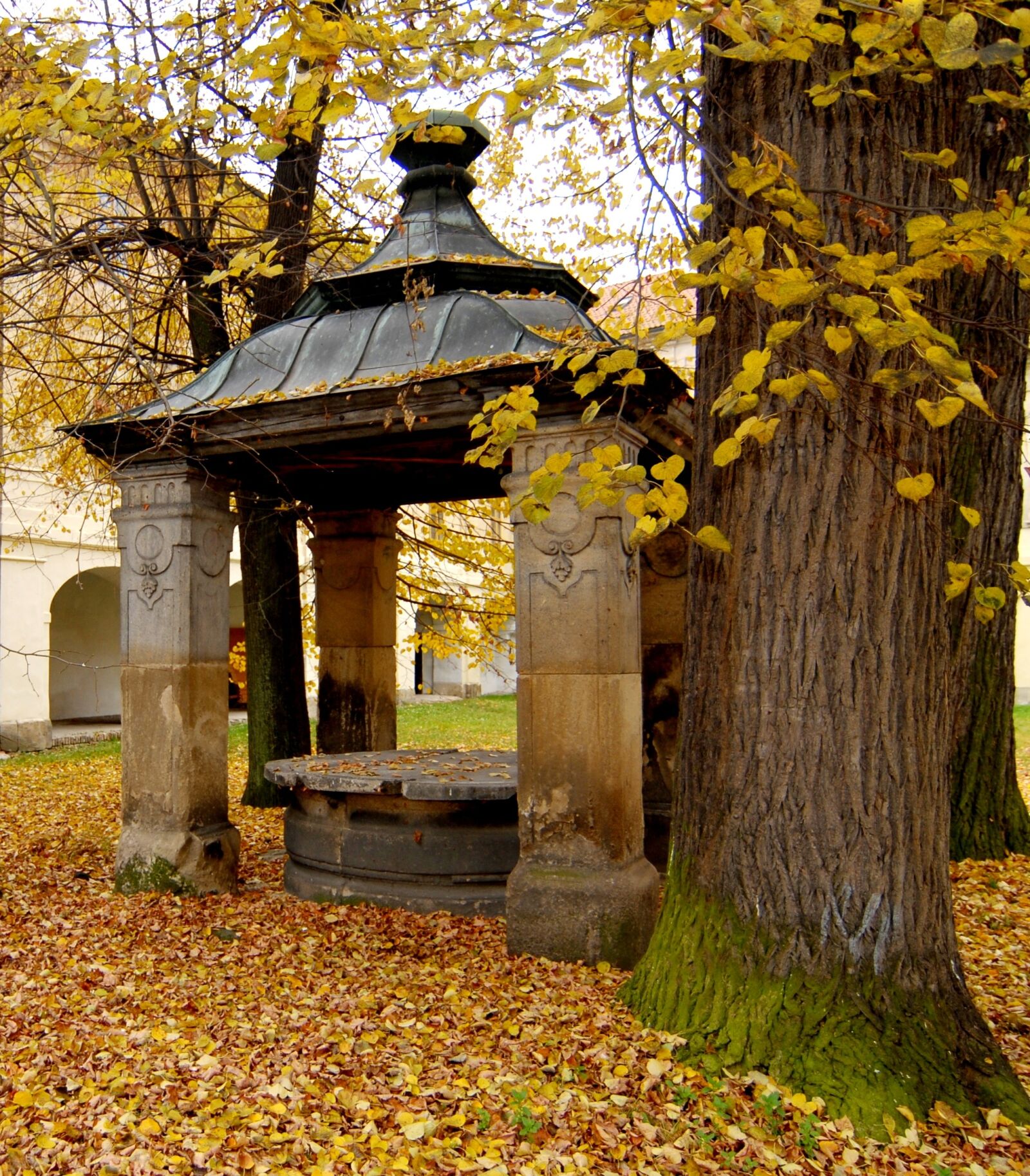 Nikon D200 sample photo. Well, roof, trees photography