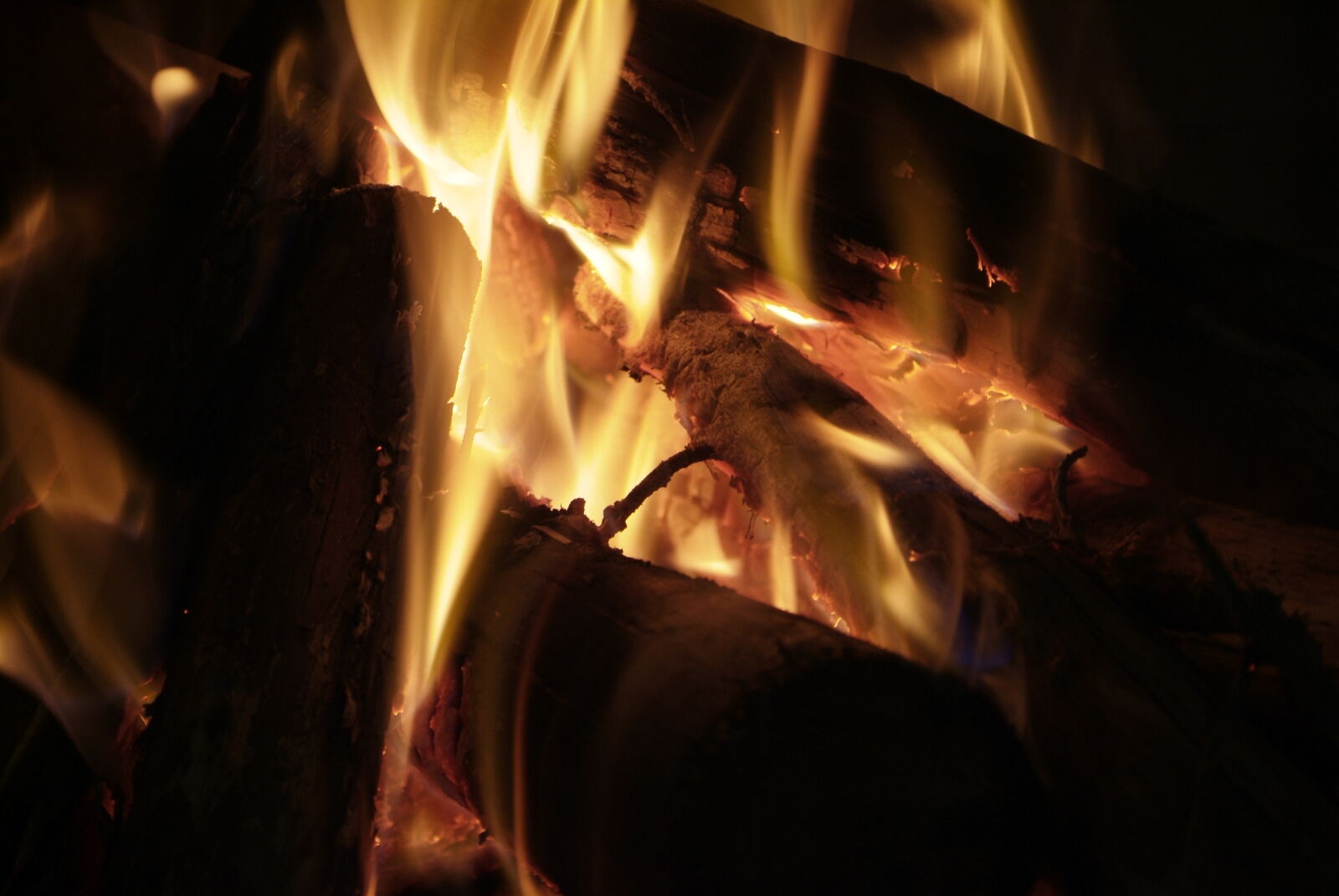 Fujifilm FinePix S3 Pro sample photo. Bonfire, fire photography
