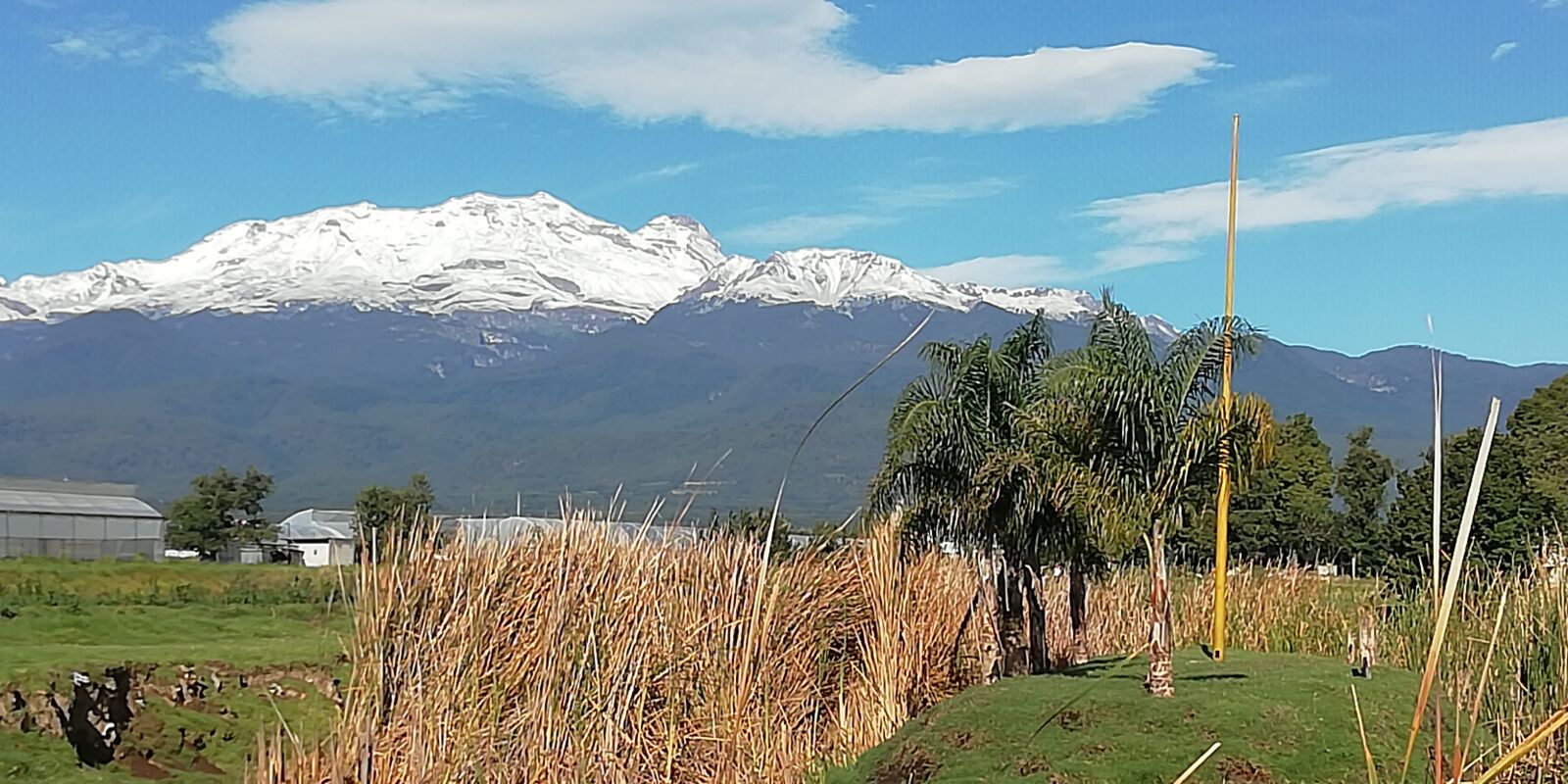 HUAWEI Y9 2018 sample photo. Montaña, arboles, naturaleza photography