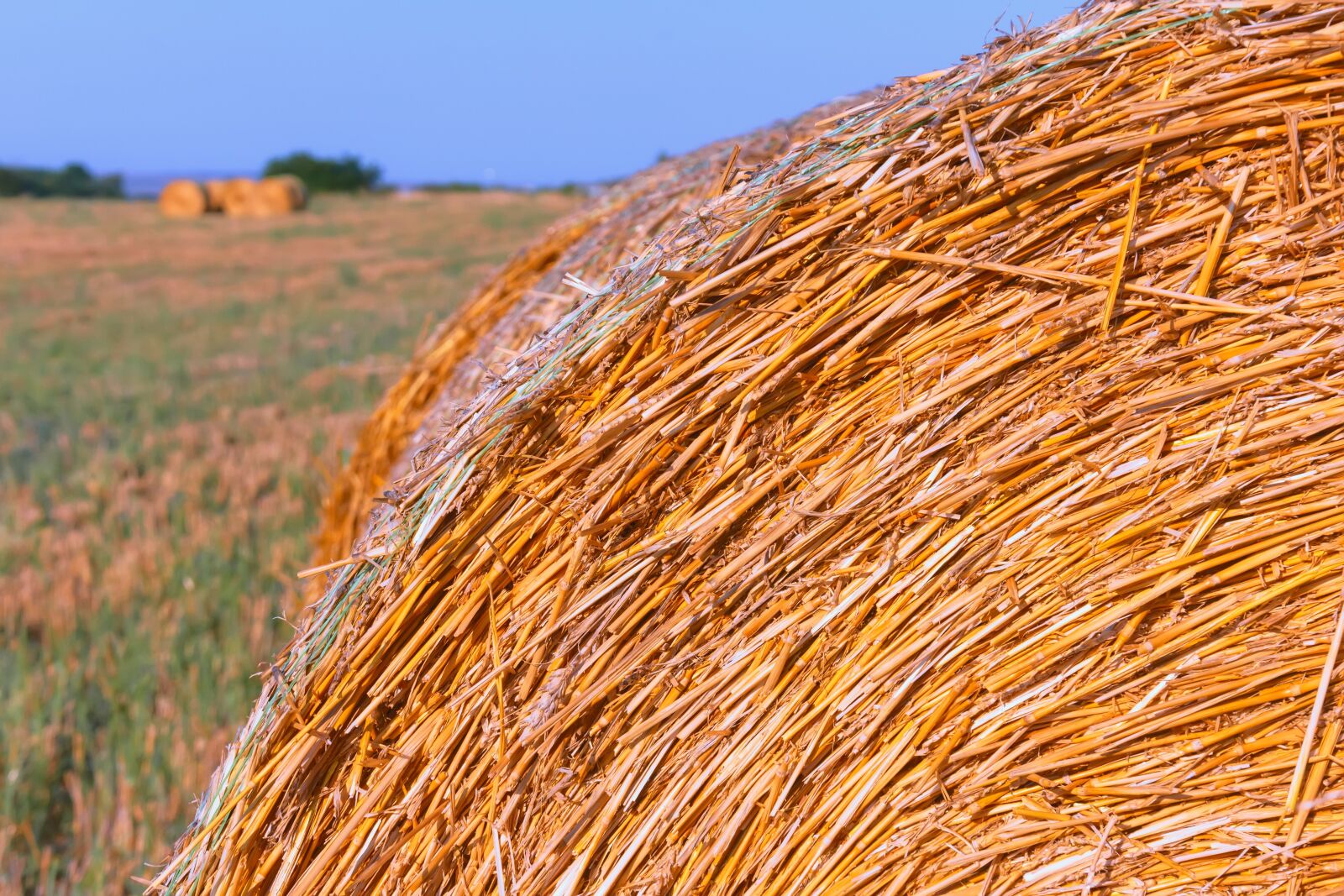 Nikon D7200 sample photo. Round, barley, stack photography