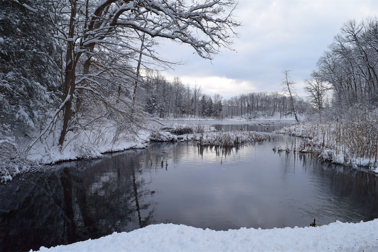 Nikon D3300 sample photo. Snow, winter, cold photography