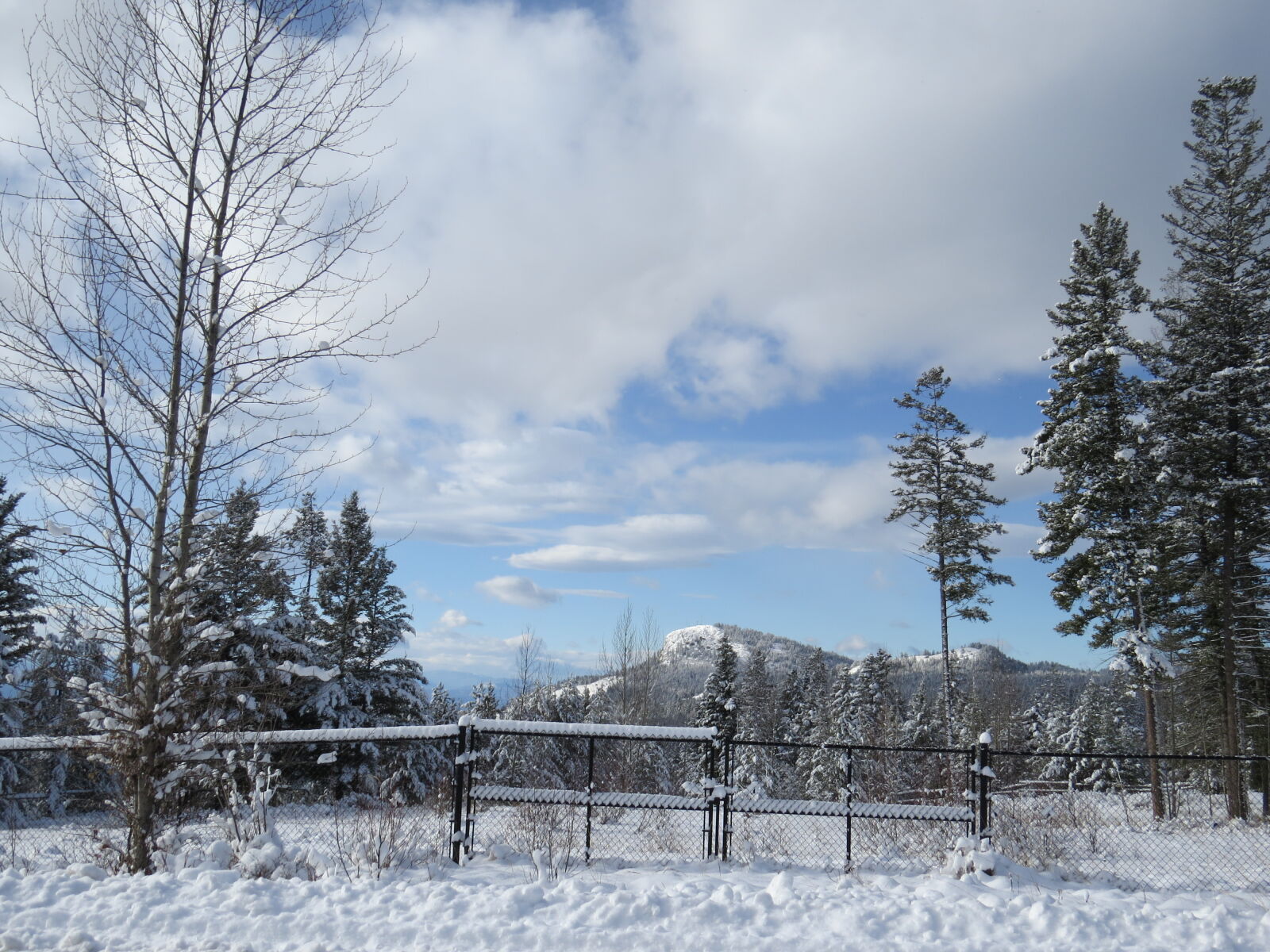 Canon PowerShot SX50 HS sample photo. Black, mountain, kelowna, bc photography