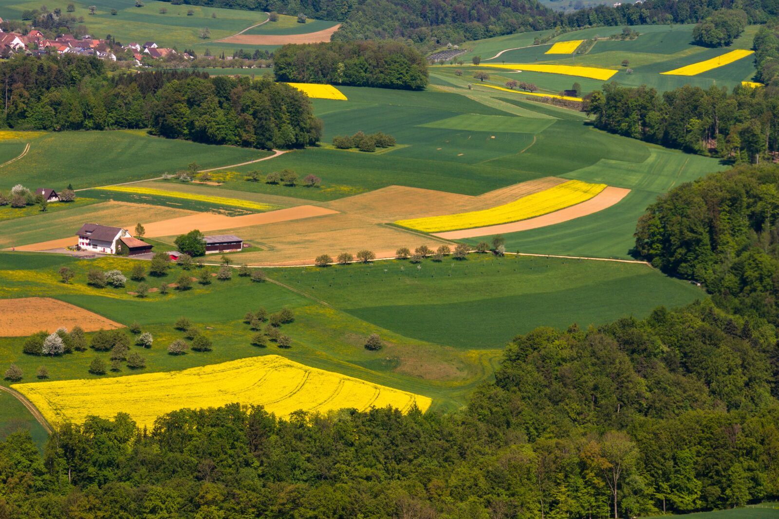 Canon EOS 7D sample photo. Landscape, fields, green photography