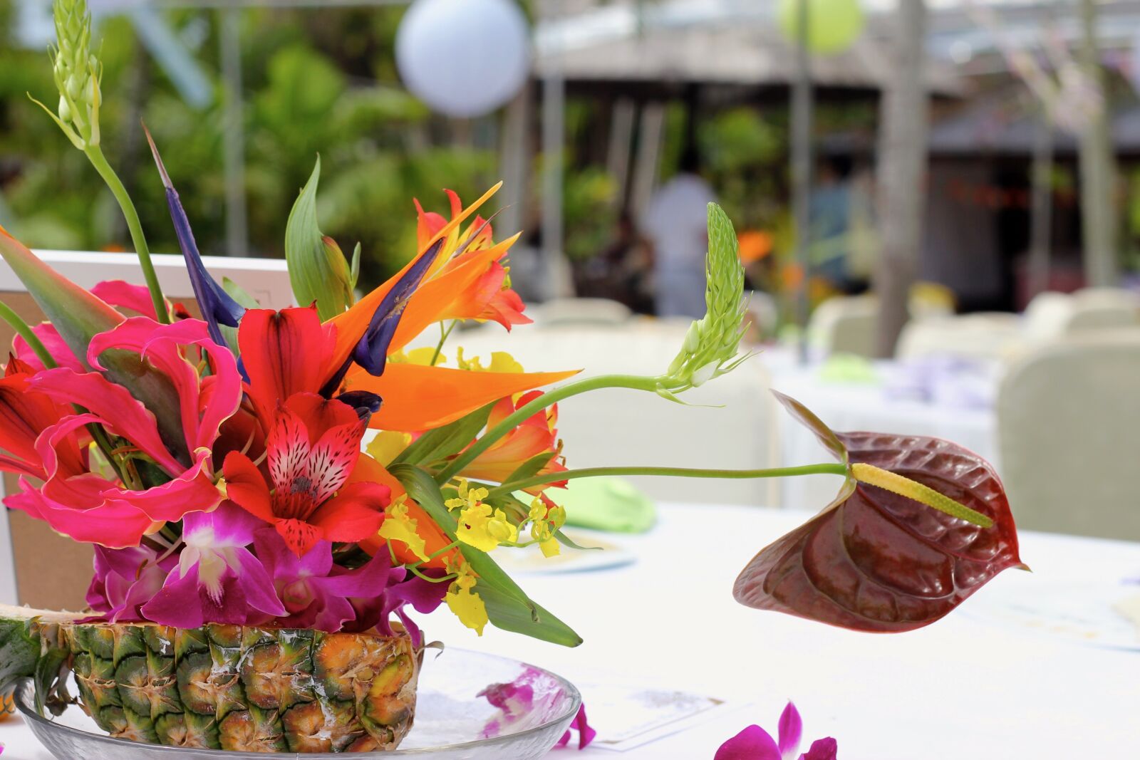 Canon EOS 60D + Canon EF 50mm F1.8 II sample photo. Flowers, tropical, pineapple photography
