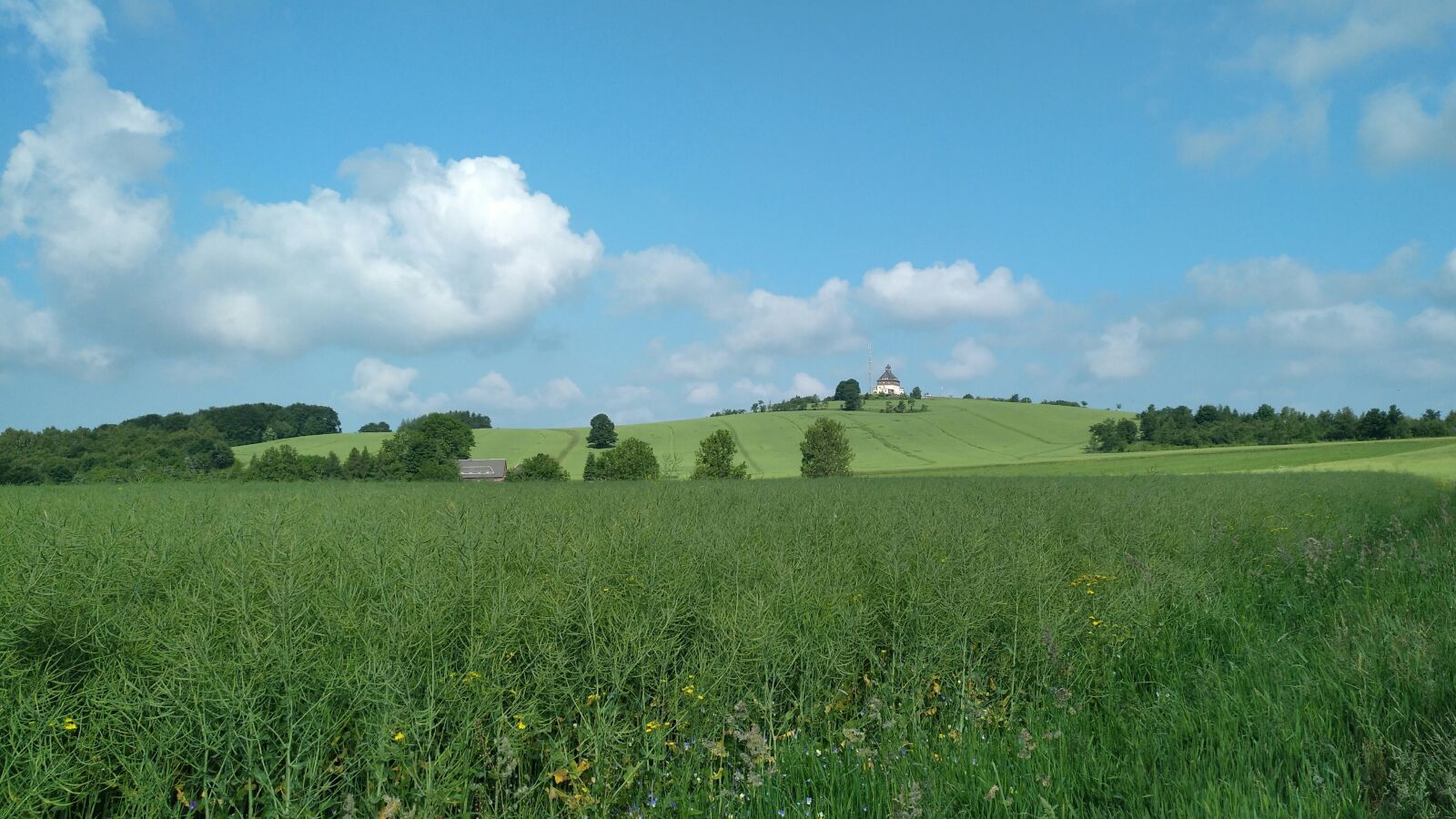 nubia Z11 MINI sample photo. Rinds mountain, seiffen, neuhausen photography