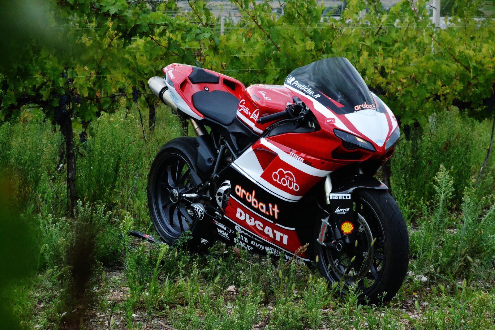 Nikon D3100 sample photo. Ducati, aruba, corse photography