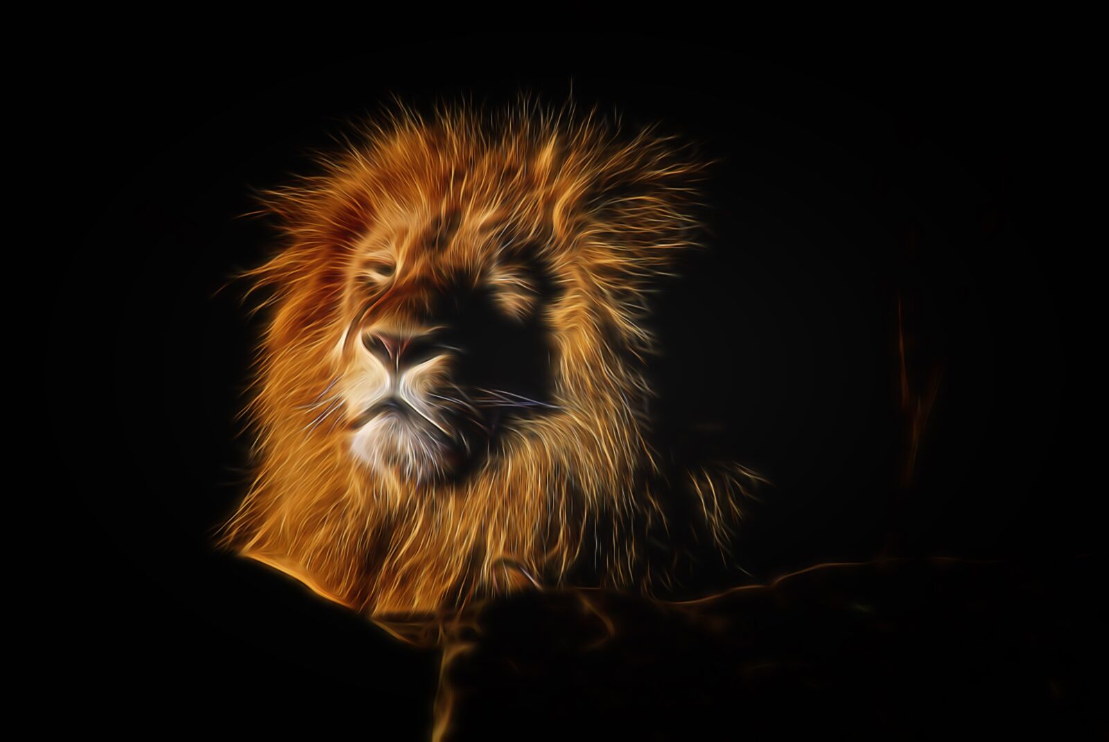 Nikon D3000 sample photo. Lion, mane, zoo photography