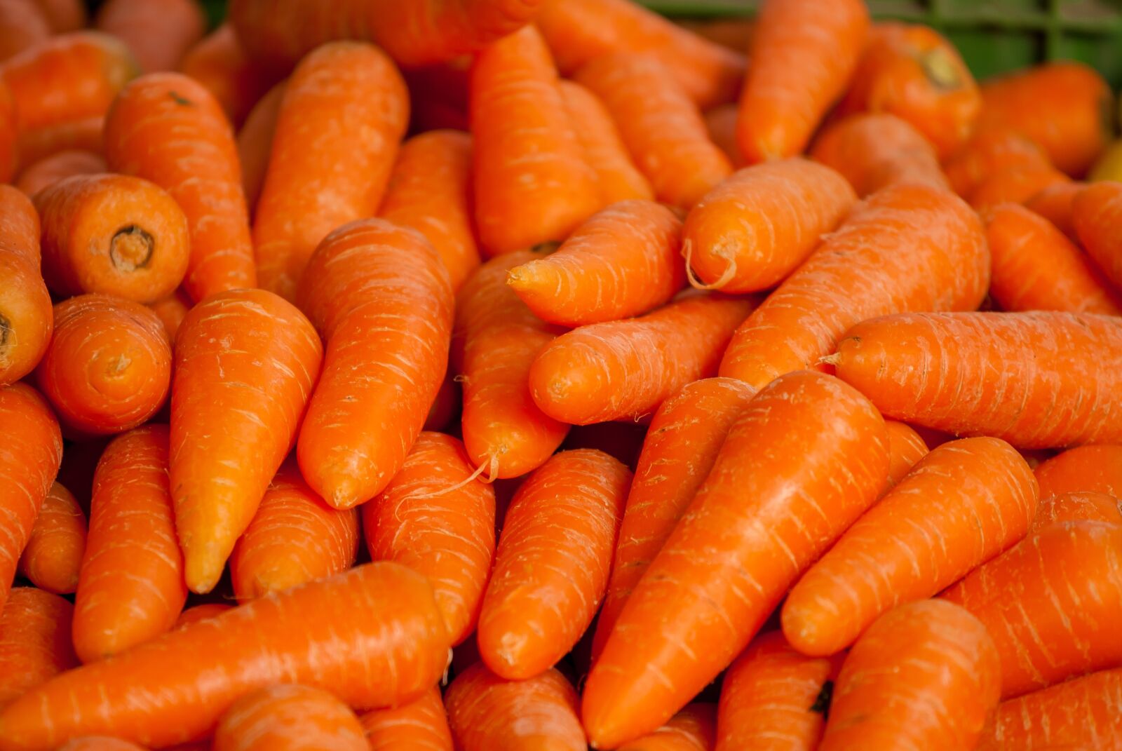 Nikon D200 sample photo. Carrots, vegetables, market photography