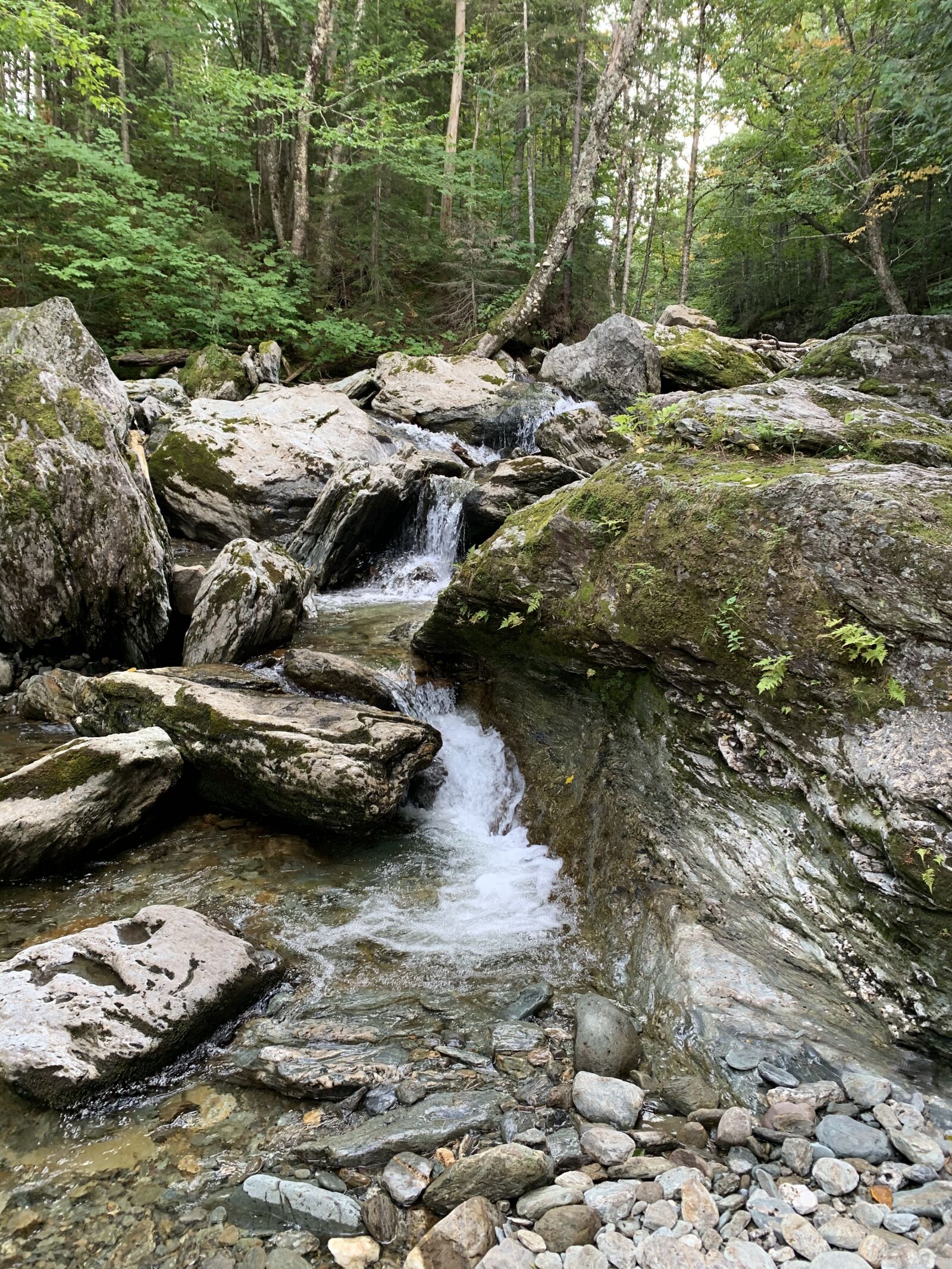 iPhone XR back camera 4.25mm f/1.8 sample photo. River, outdoor, nature photography