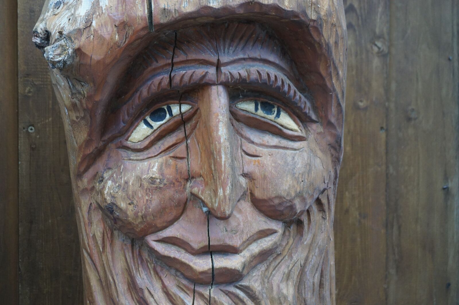 Sony a6000 sample photo. Eyes, head, wood photography