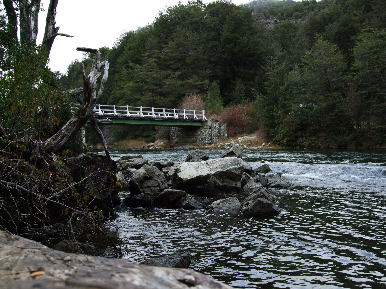 Fujifilm FinePix F50fd sample photo