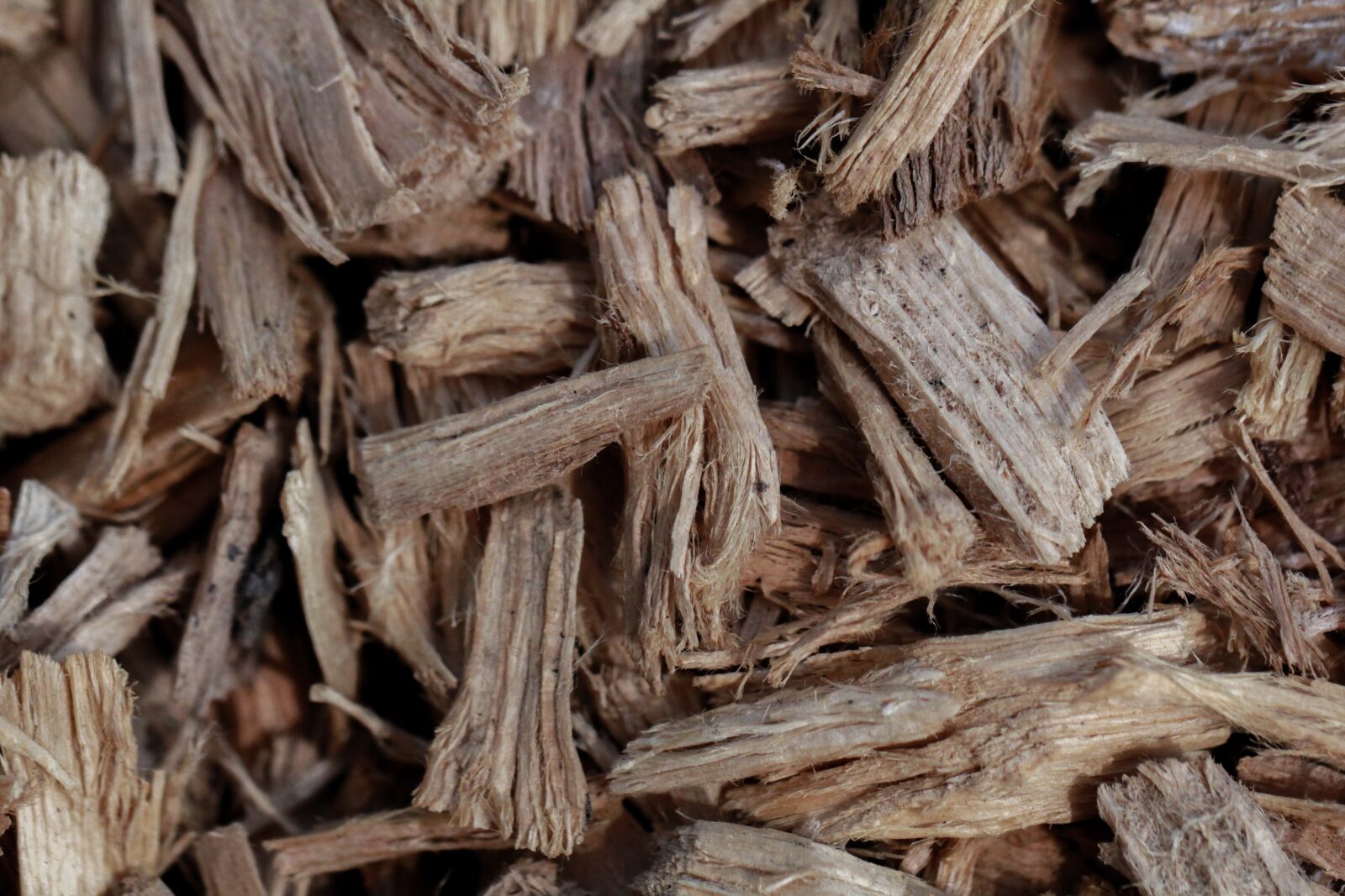 Canon EF 100mm F2.8L Macro IS USM sample photo. Texture, shavings, wood photography