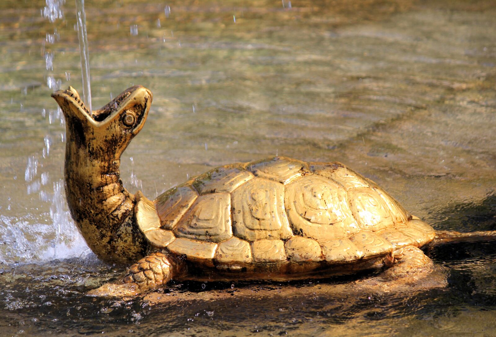 Canon EOS 550D (EOS Rebel T2i / EOS Kiss X4) sample photo. Fountain, turtle, gold photography
