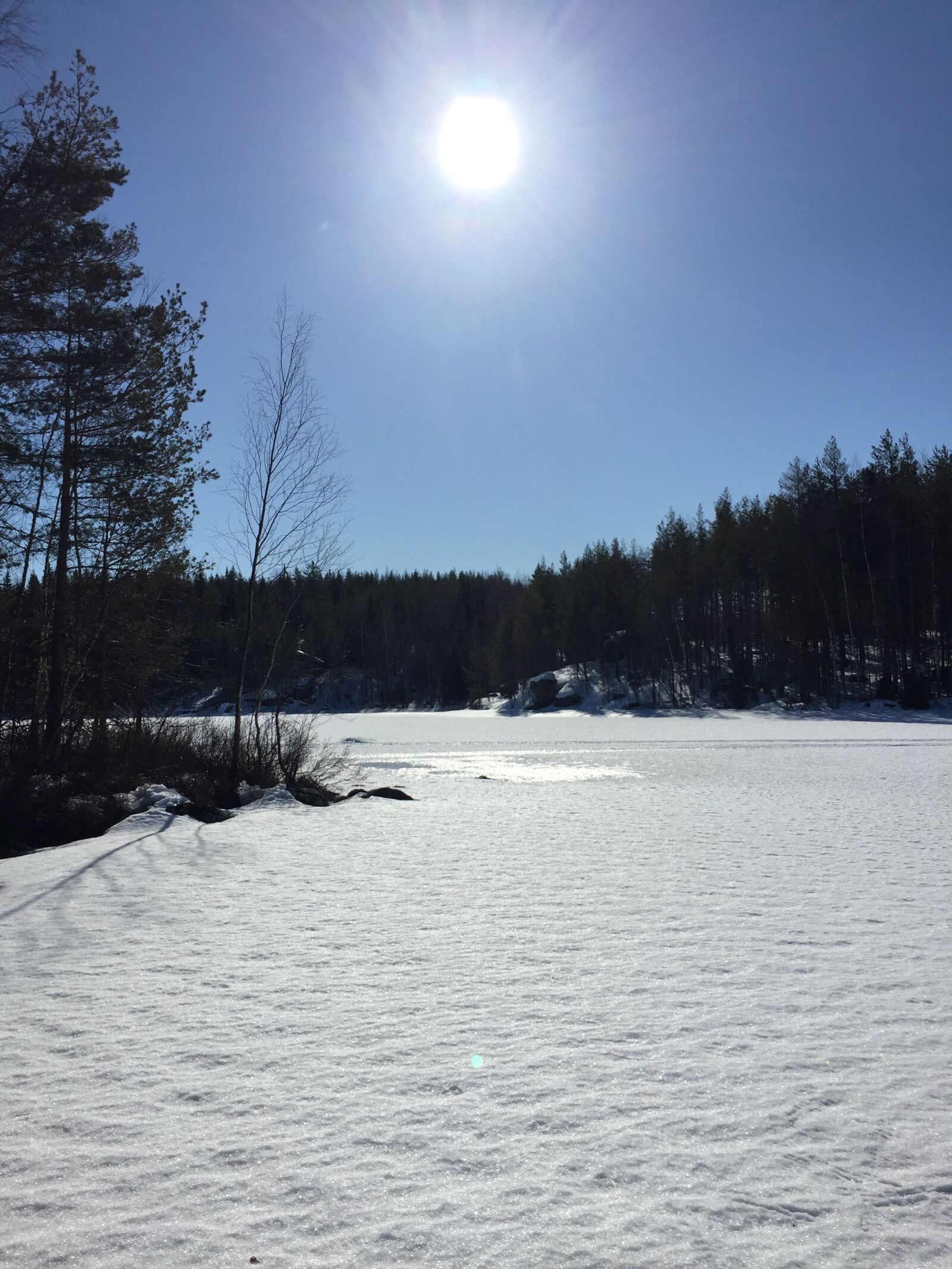 Apple iPhone 6 sample photo. Snow, sun, winter photography
