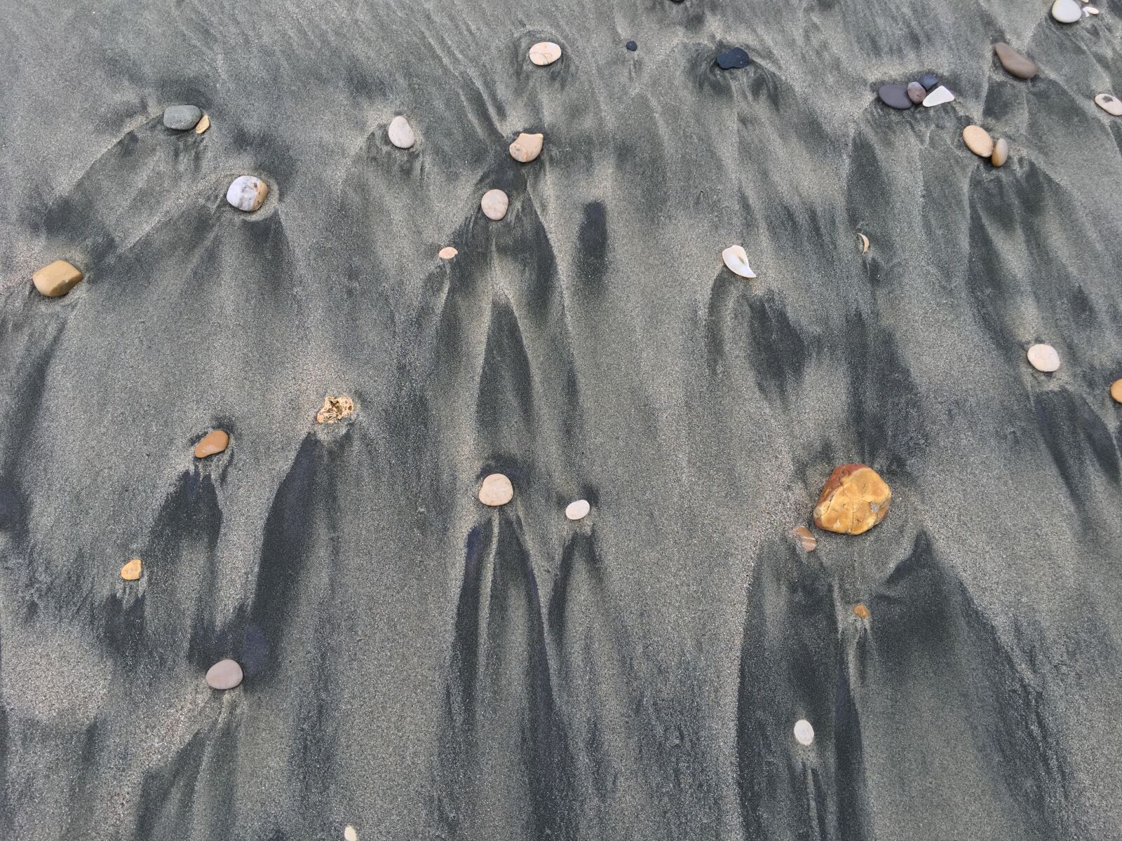 Apple iPhone 6s Plus sample photo. Sand, gray, shells photography