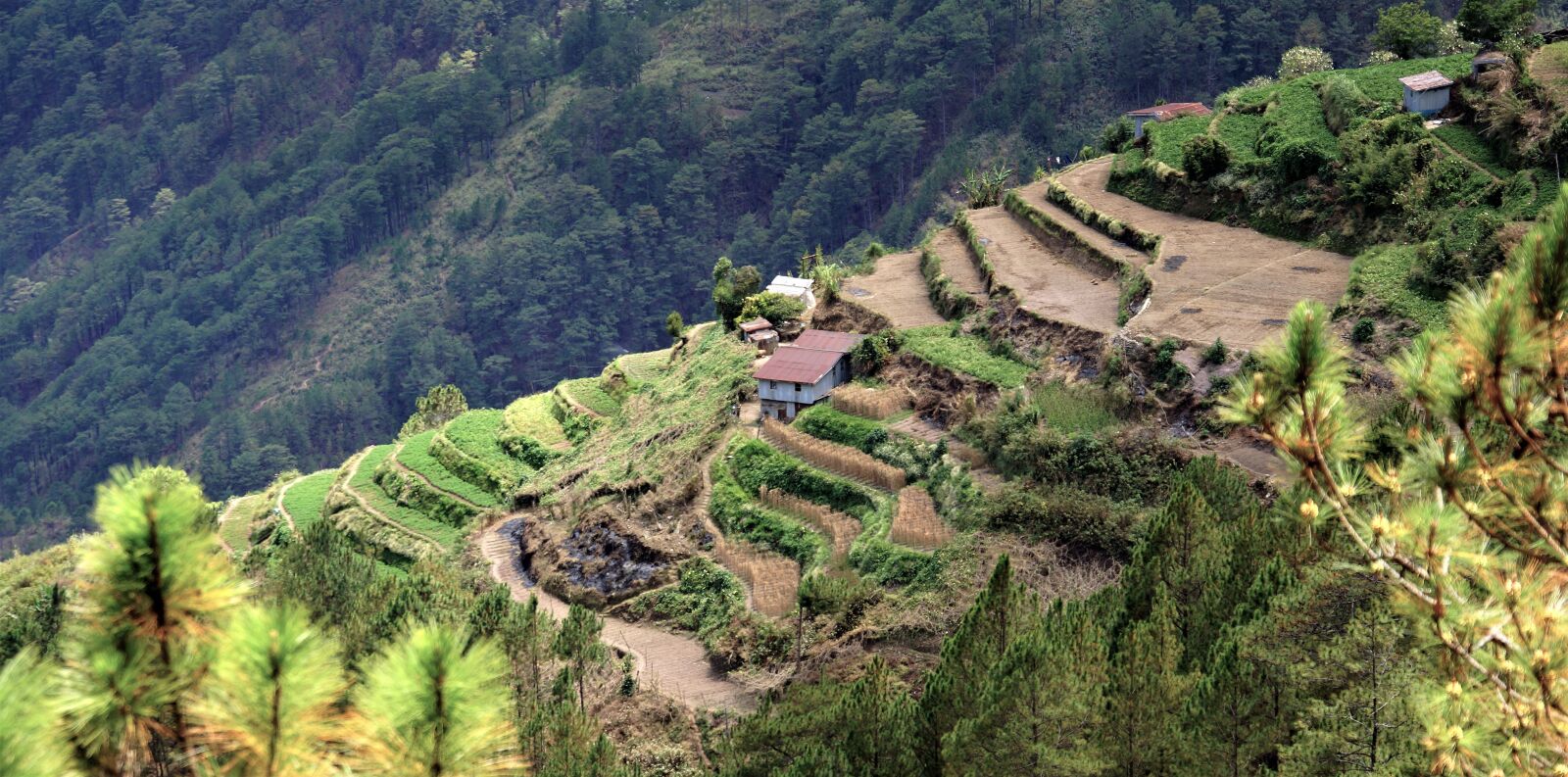 Sony Alpha NEX-7 sample photo. Terraces, sagada, philippines photography