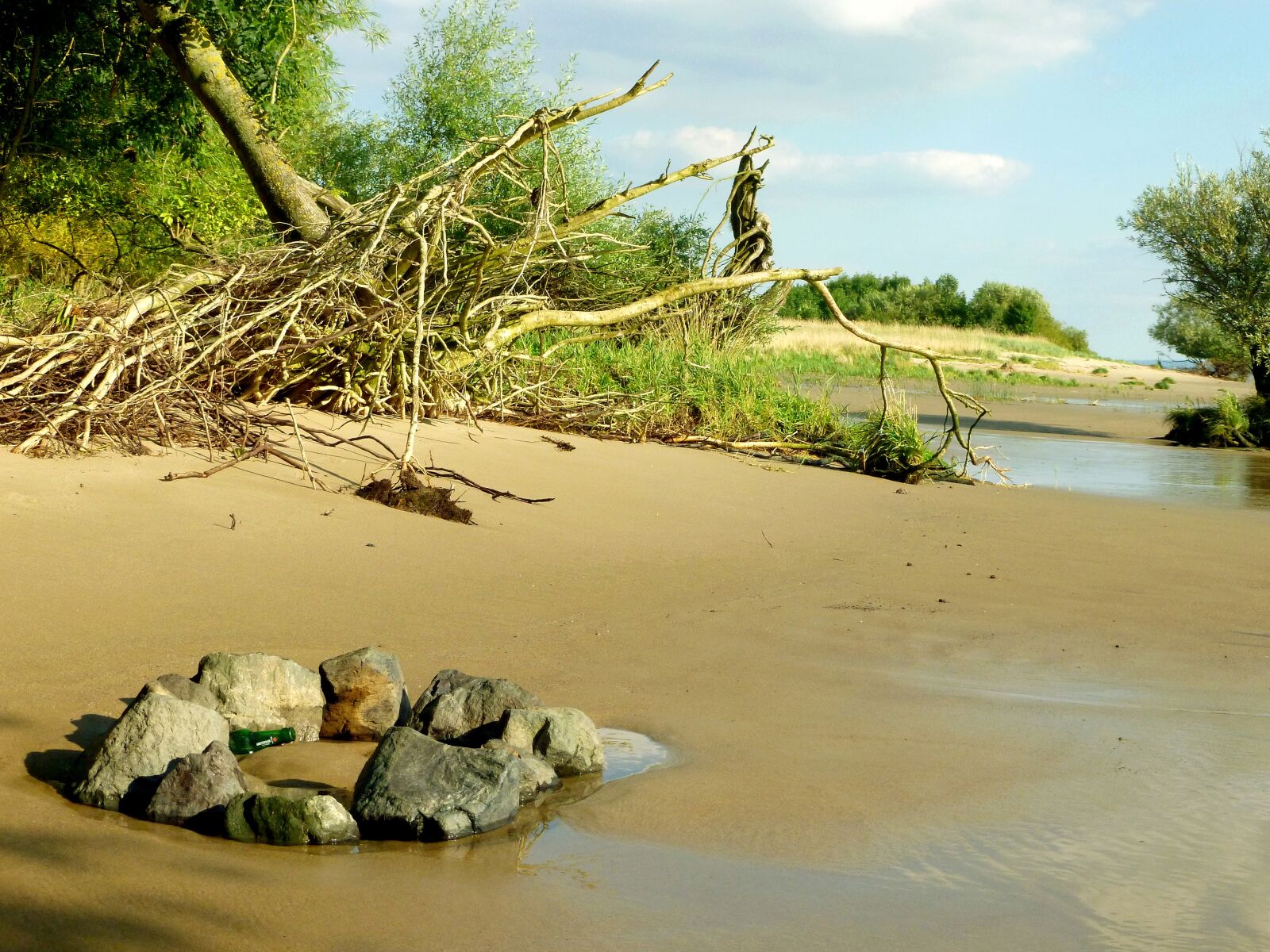 Panasonic DMC-FS37 sample photo. Elbstrand same, tree roots photography