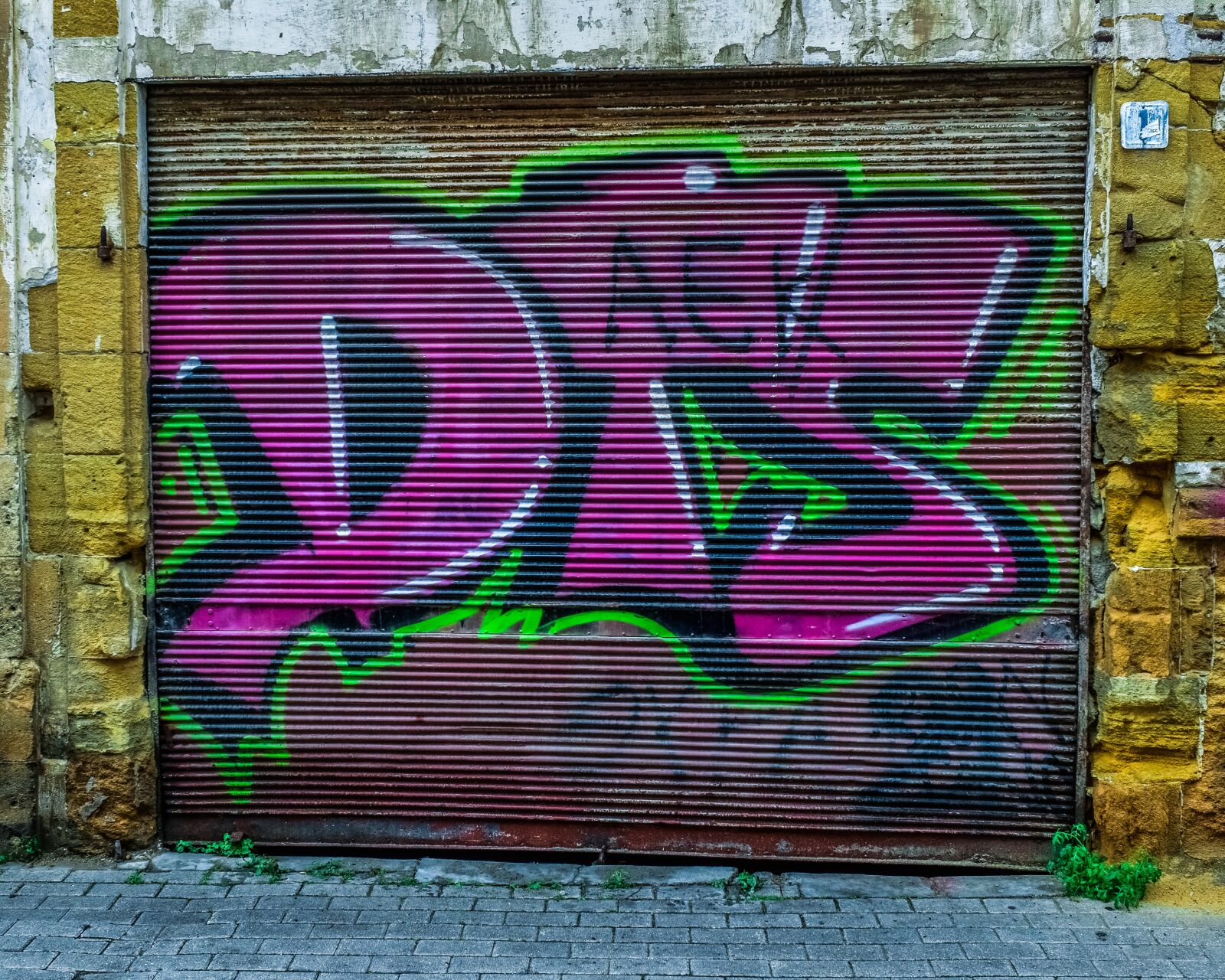 Nikon D3300 sample photo. Metal shutter, graffiti, spray photography