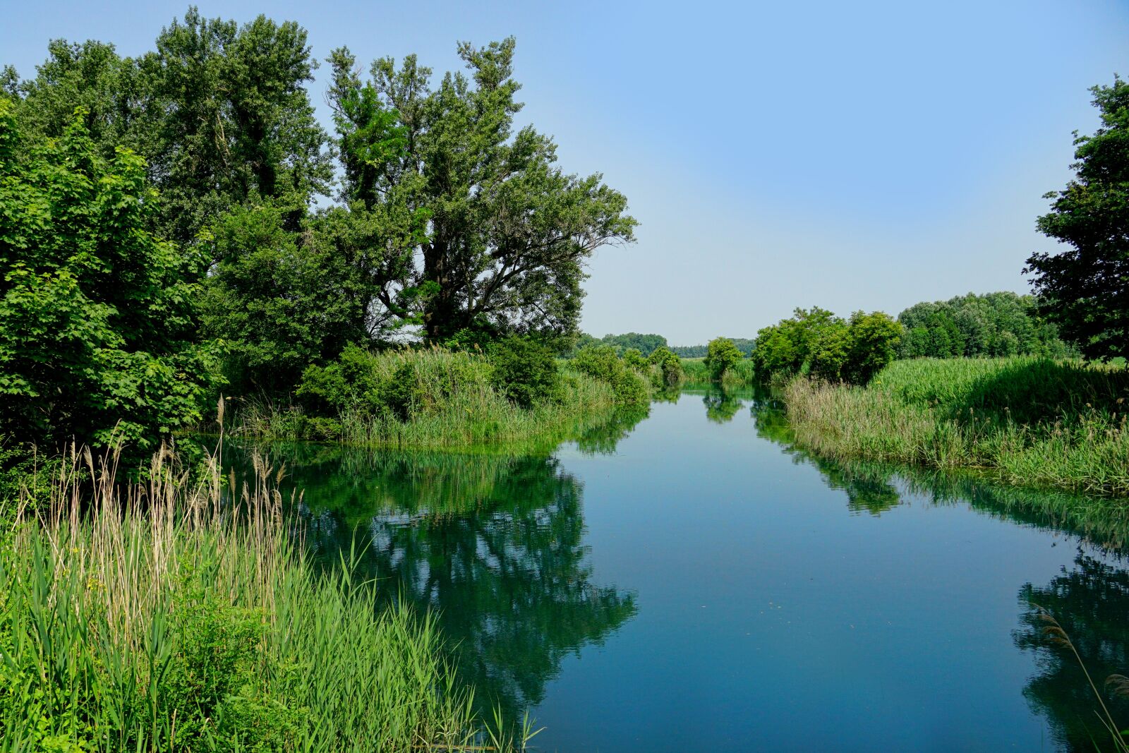Sony a6000 sample photo. Nature, landscape, river photography
