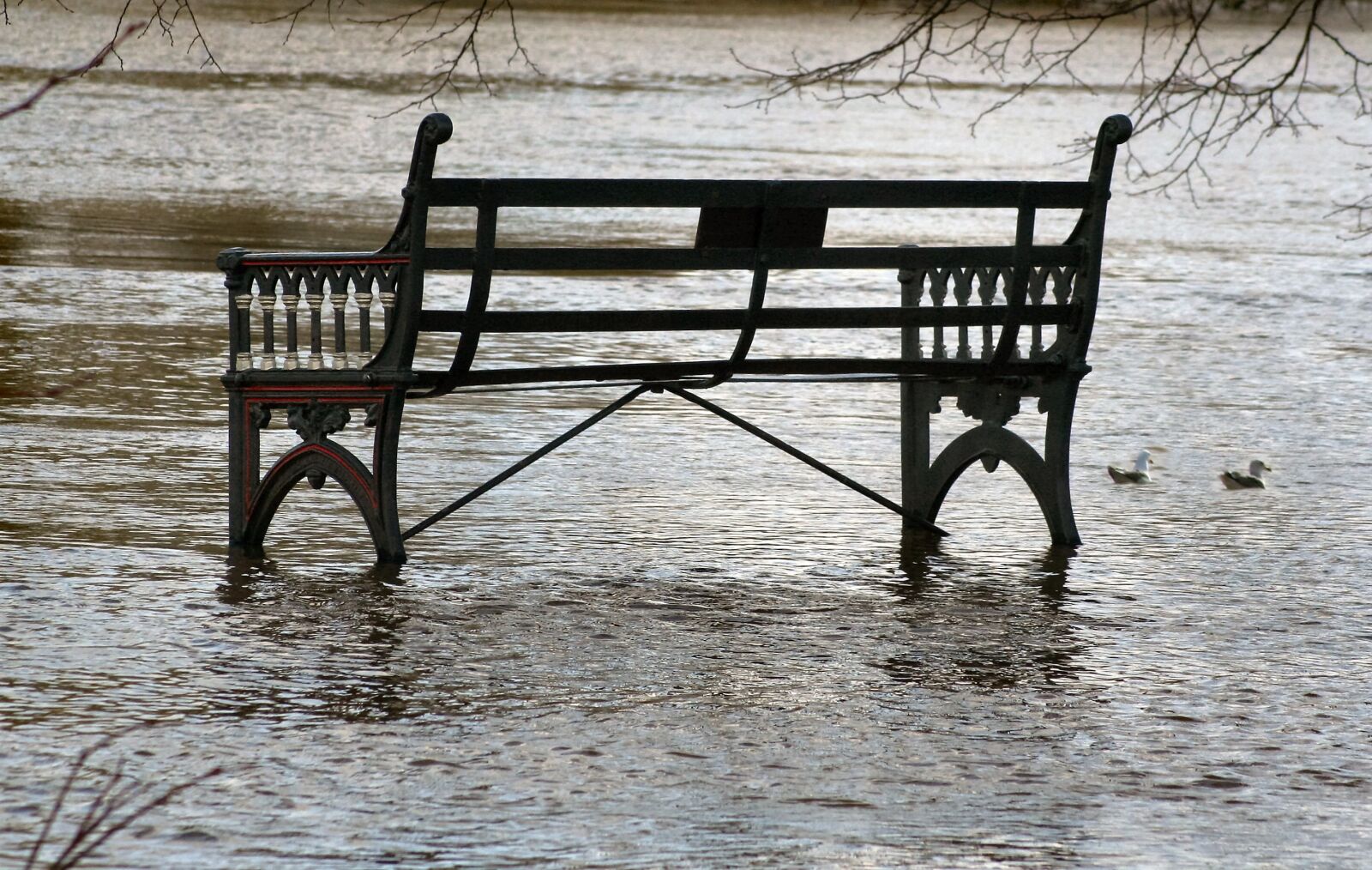 Canon EOS 350D (EOS Digital Rebel XT / EOS Kiss Digital N) sample photo. Bench, flood, park photography
