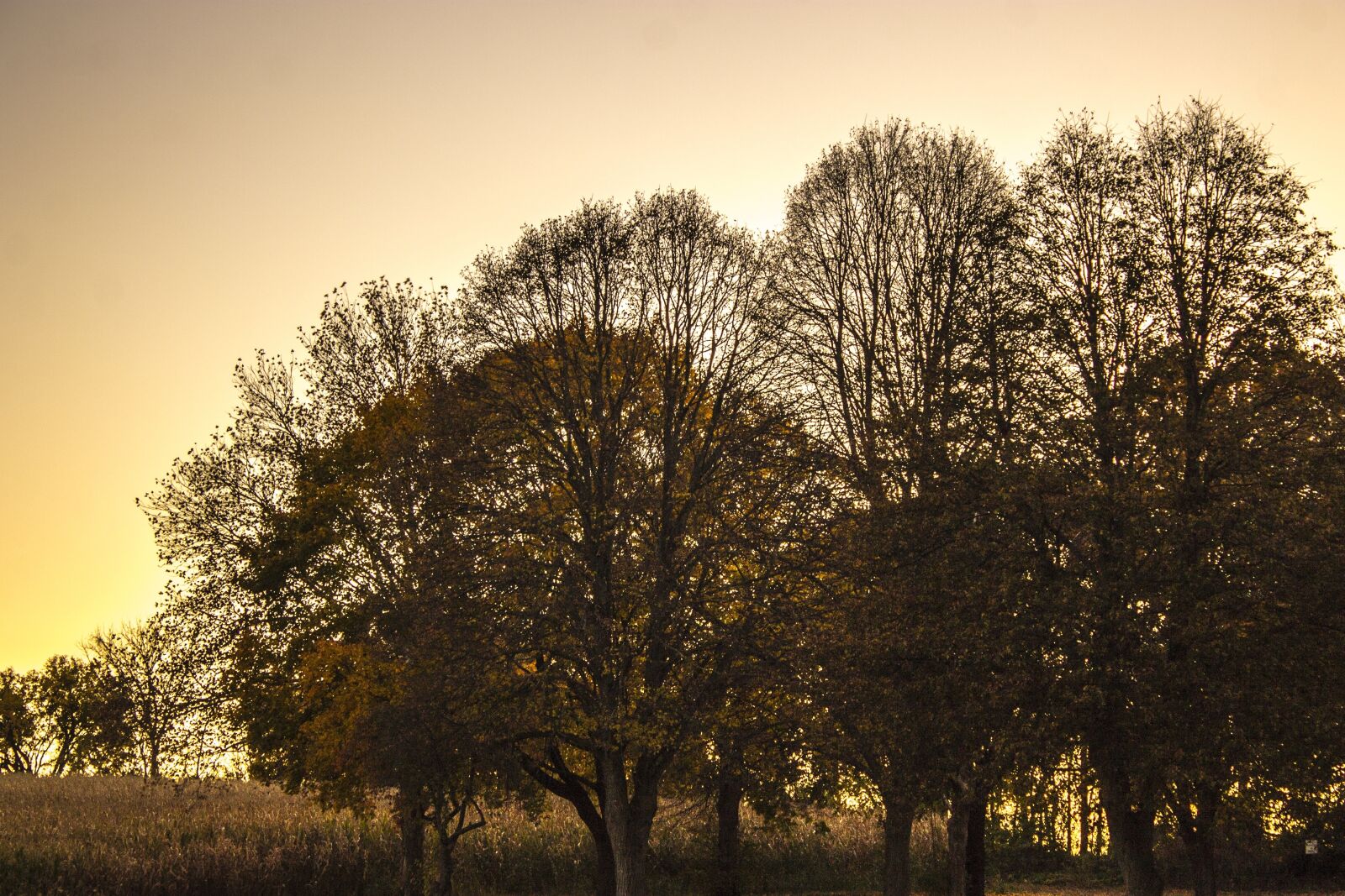 Canon EOS 1100D (EOS Rebel T3 / EOS Kiss X50) sample photo. Landscape, sunset, nature photography